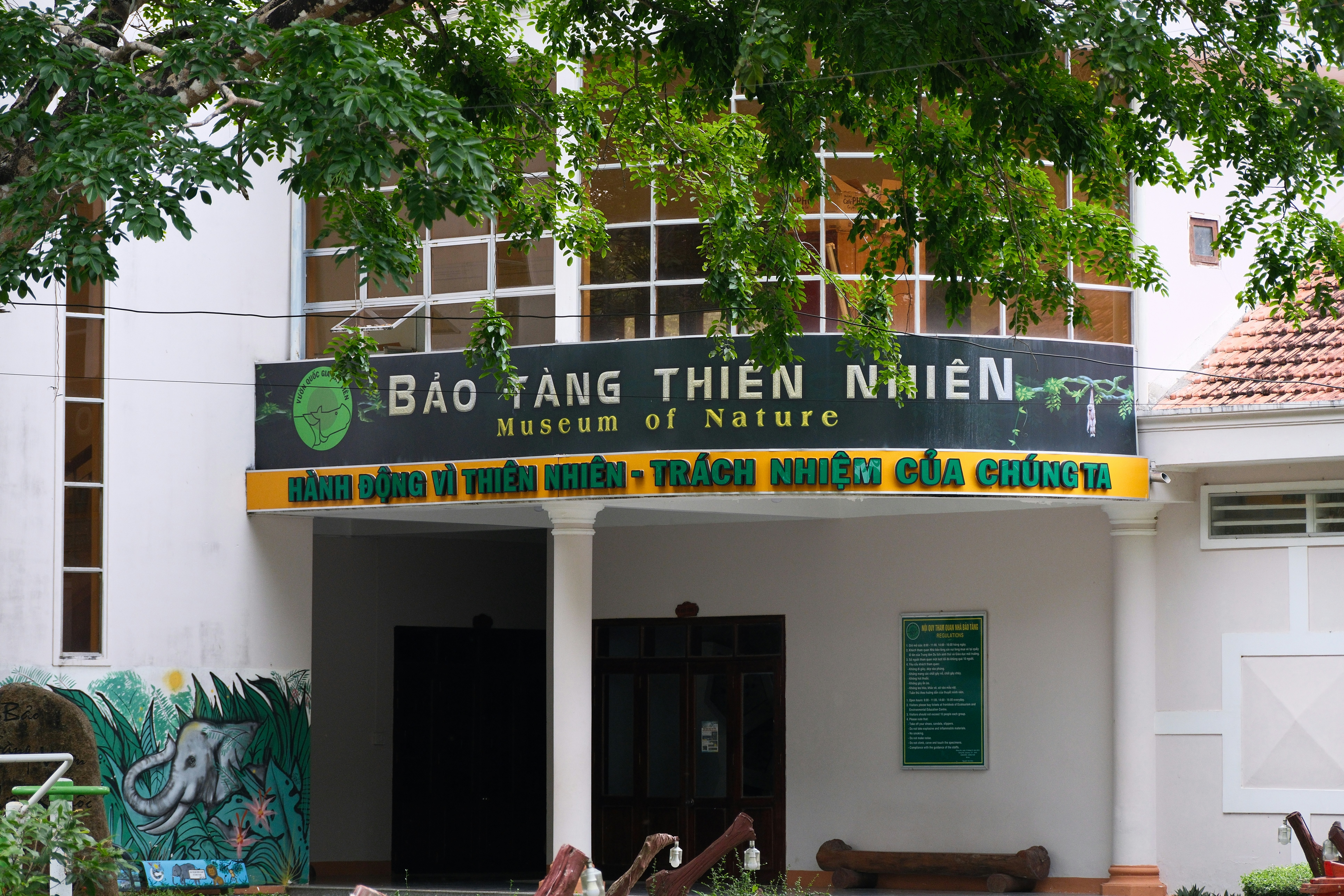 Bac Viet