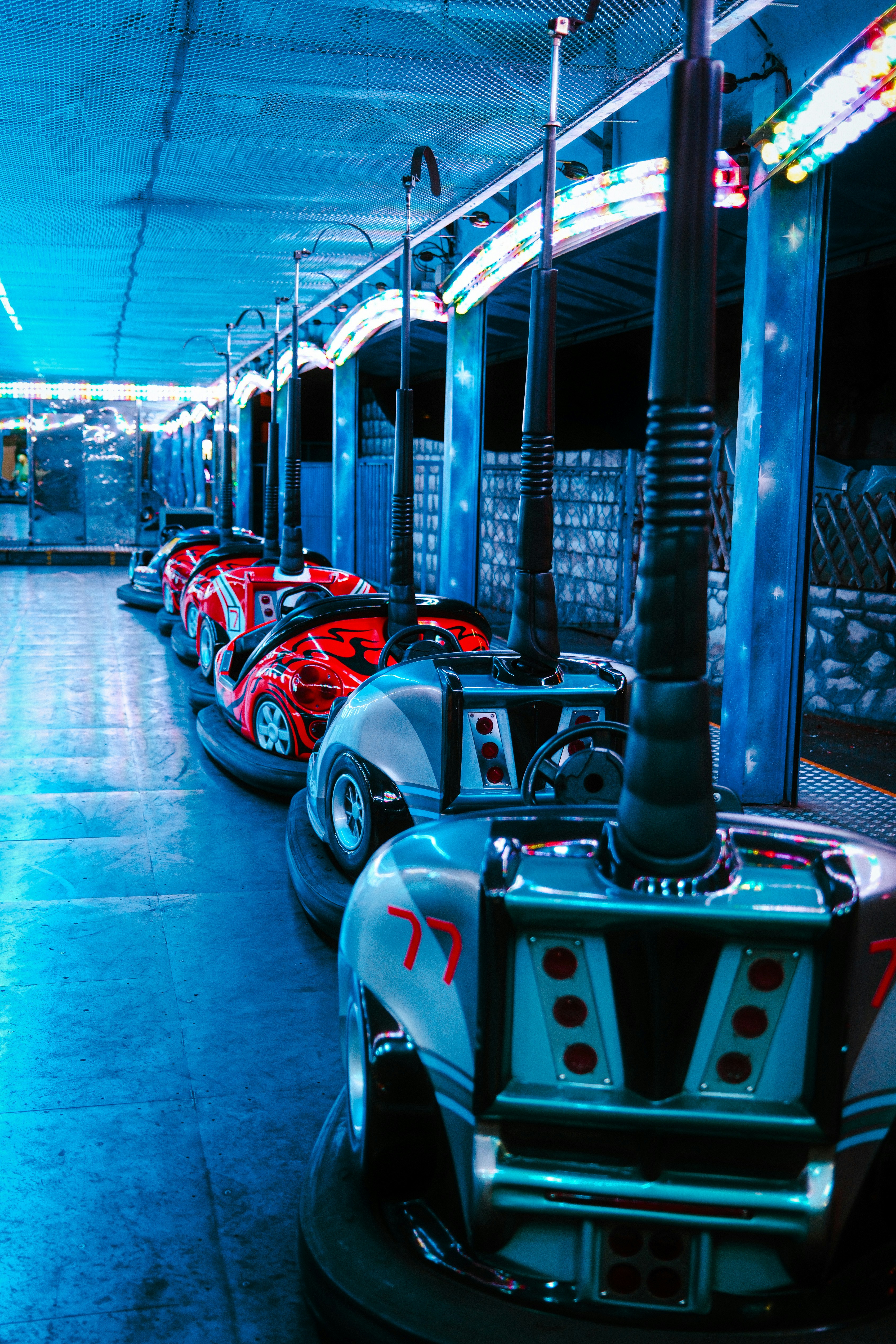 Bumper cars in a row at an amusement park.