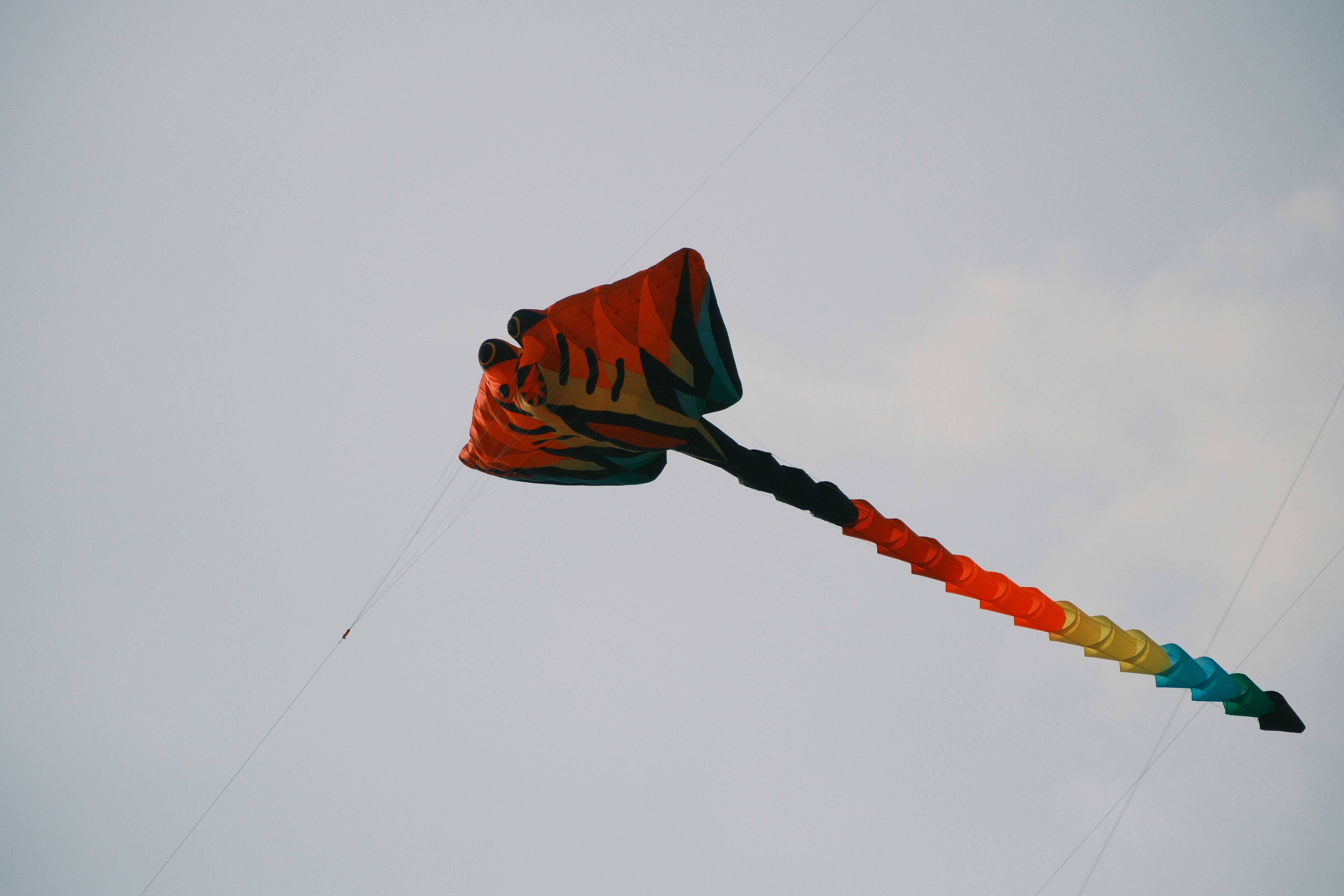 Image of Kite Flying on Indian festival Makar Sankranti 2026