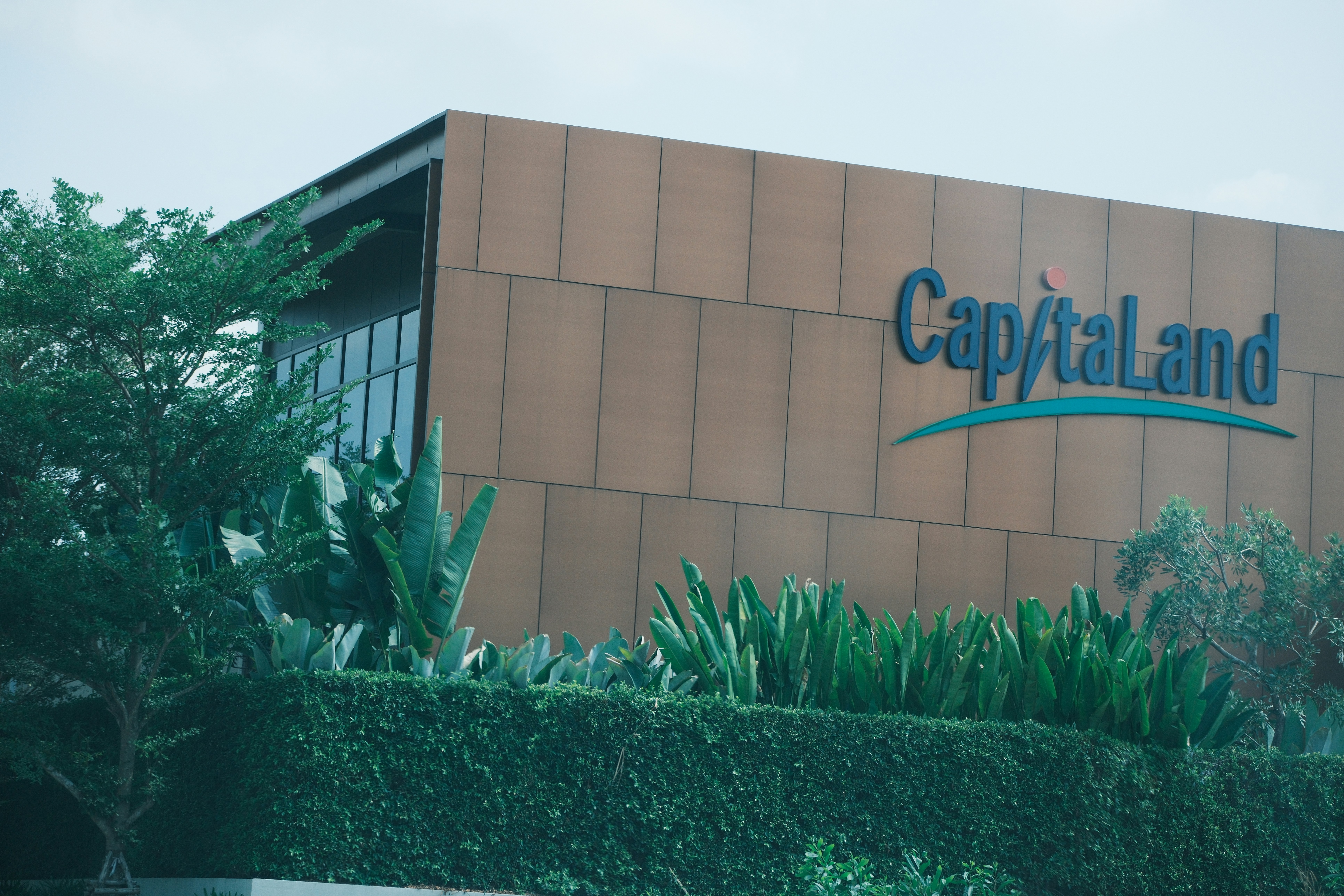 Mejores 50 empresas de servicios de inteligencia empresarial en Carballo