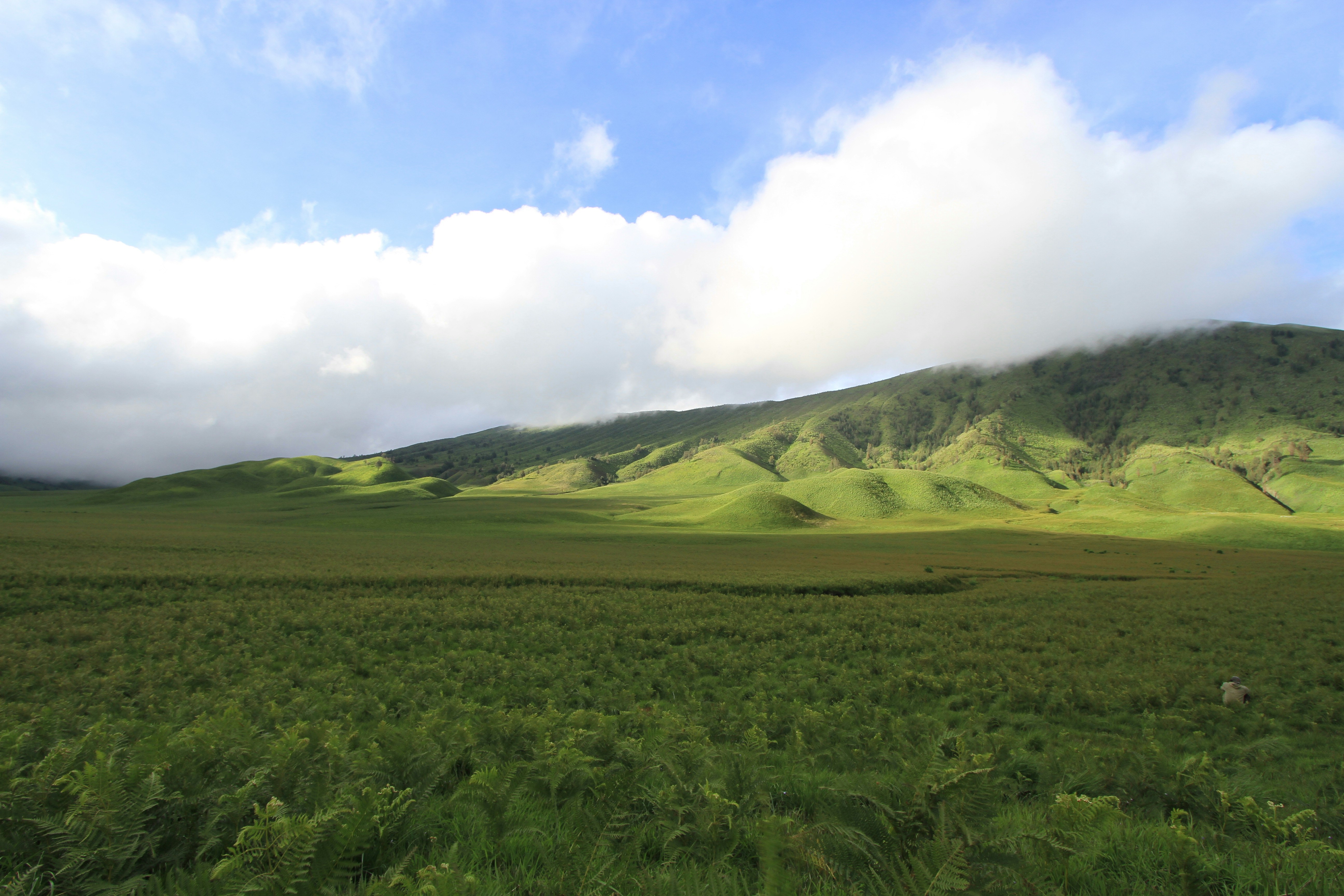 Photo by ridhamsupriyanto