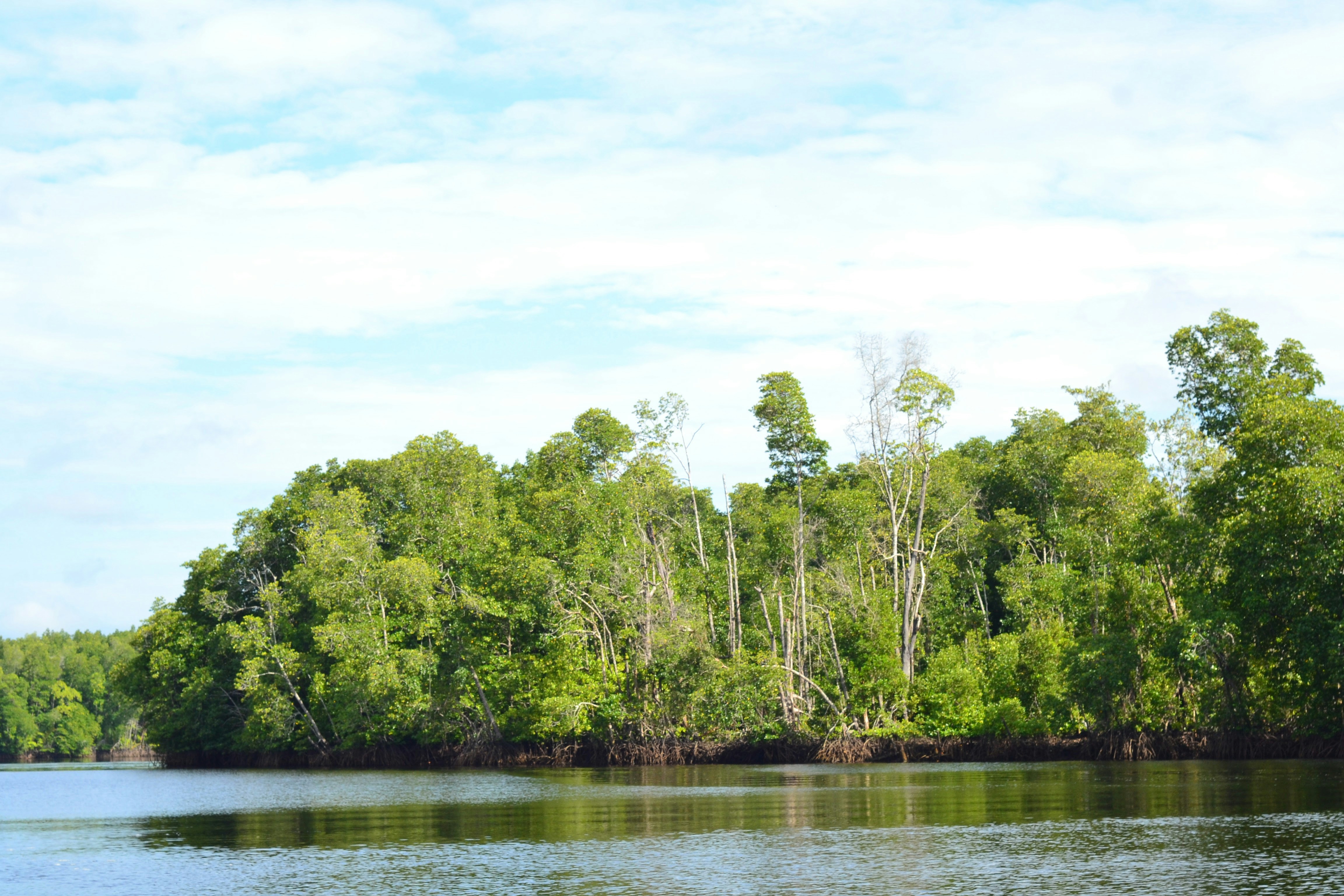 Photo by ridhamsupriyanto