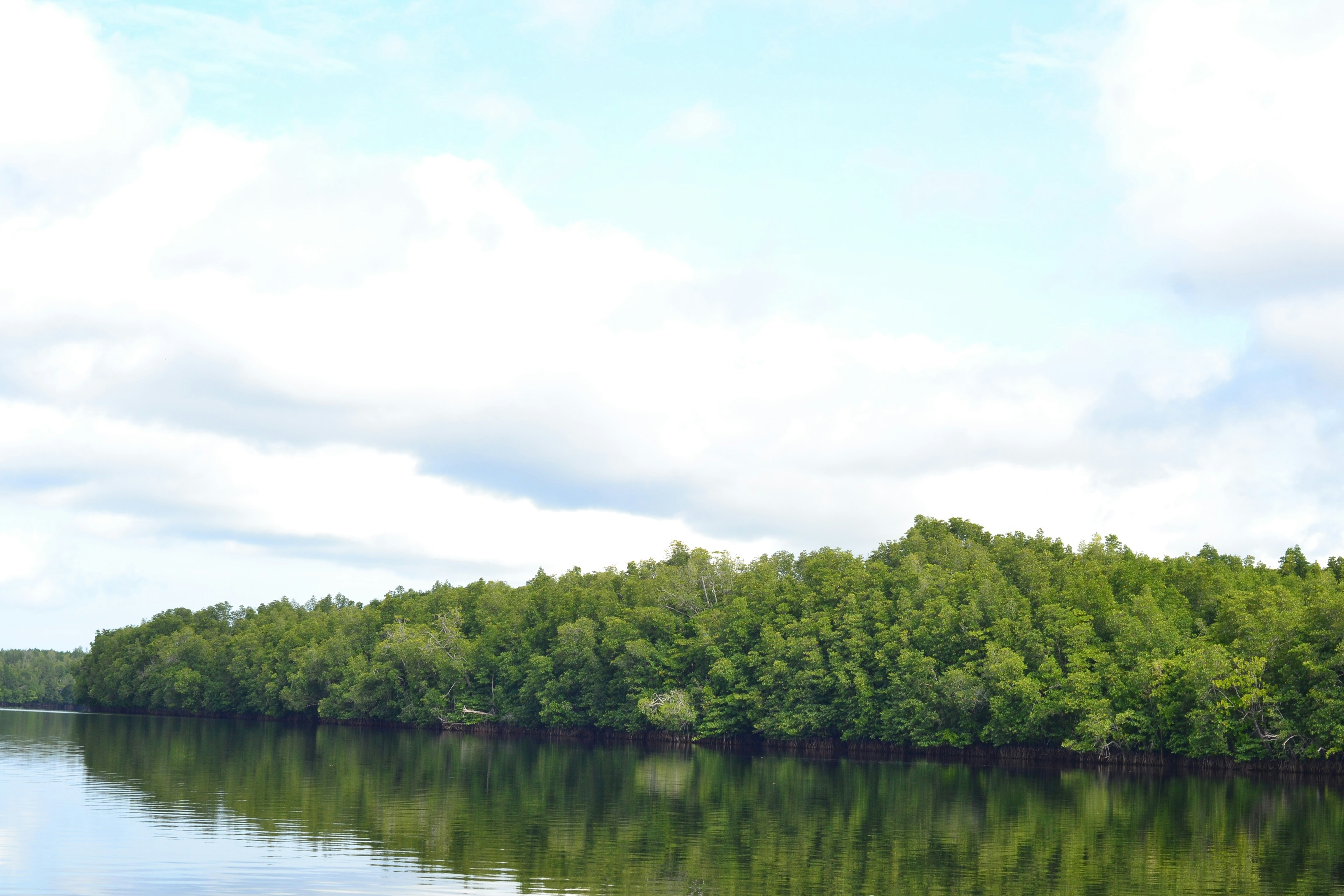 Photo by ridhamsupriyanto