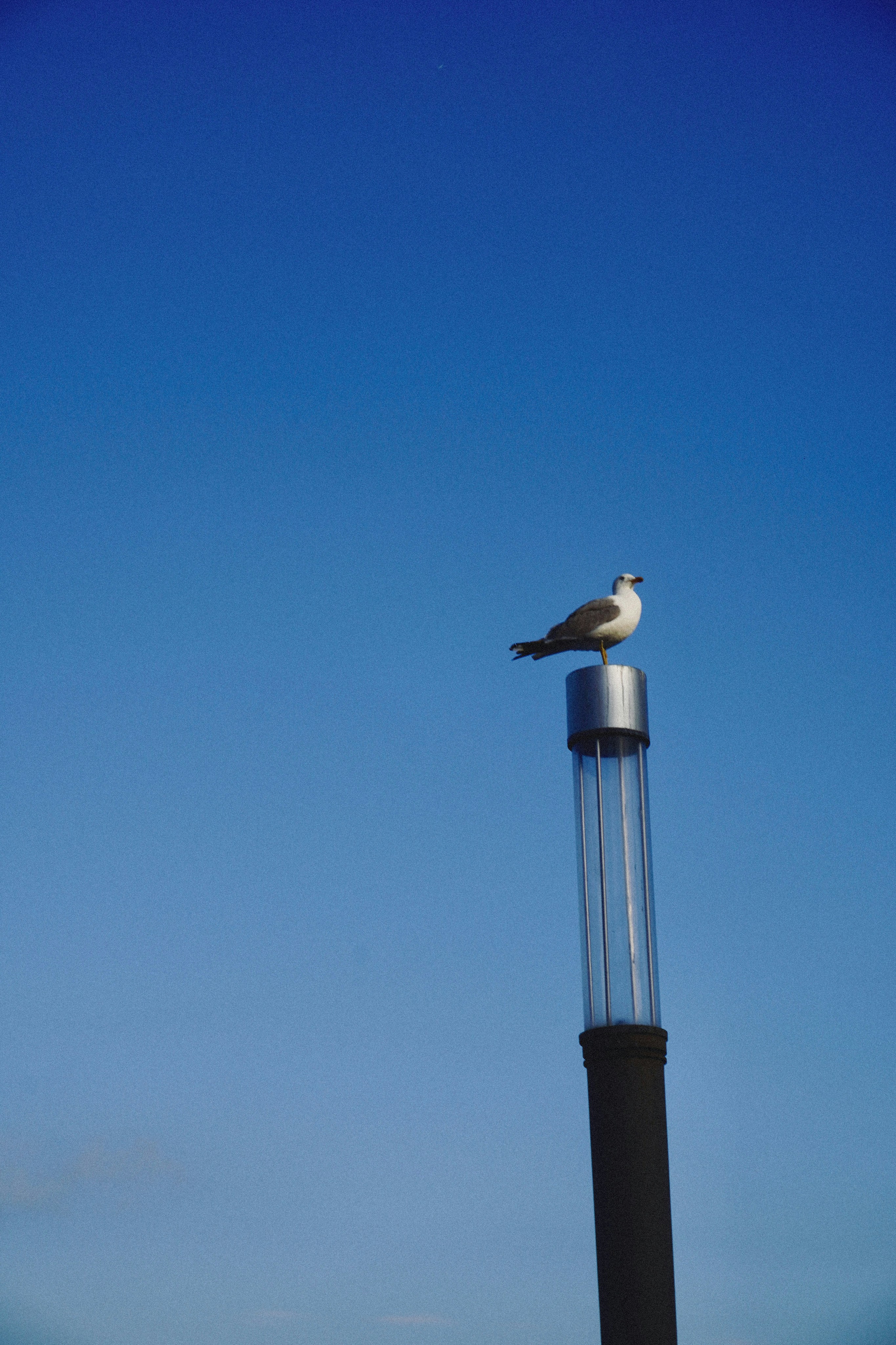 Photo by franziskawe01