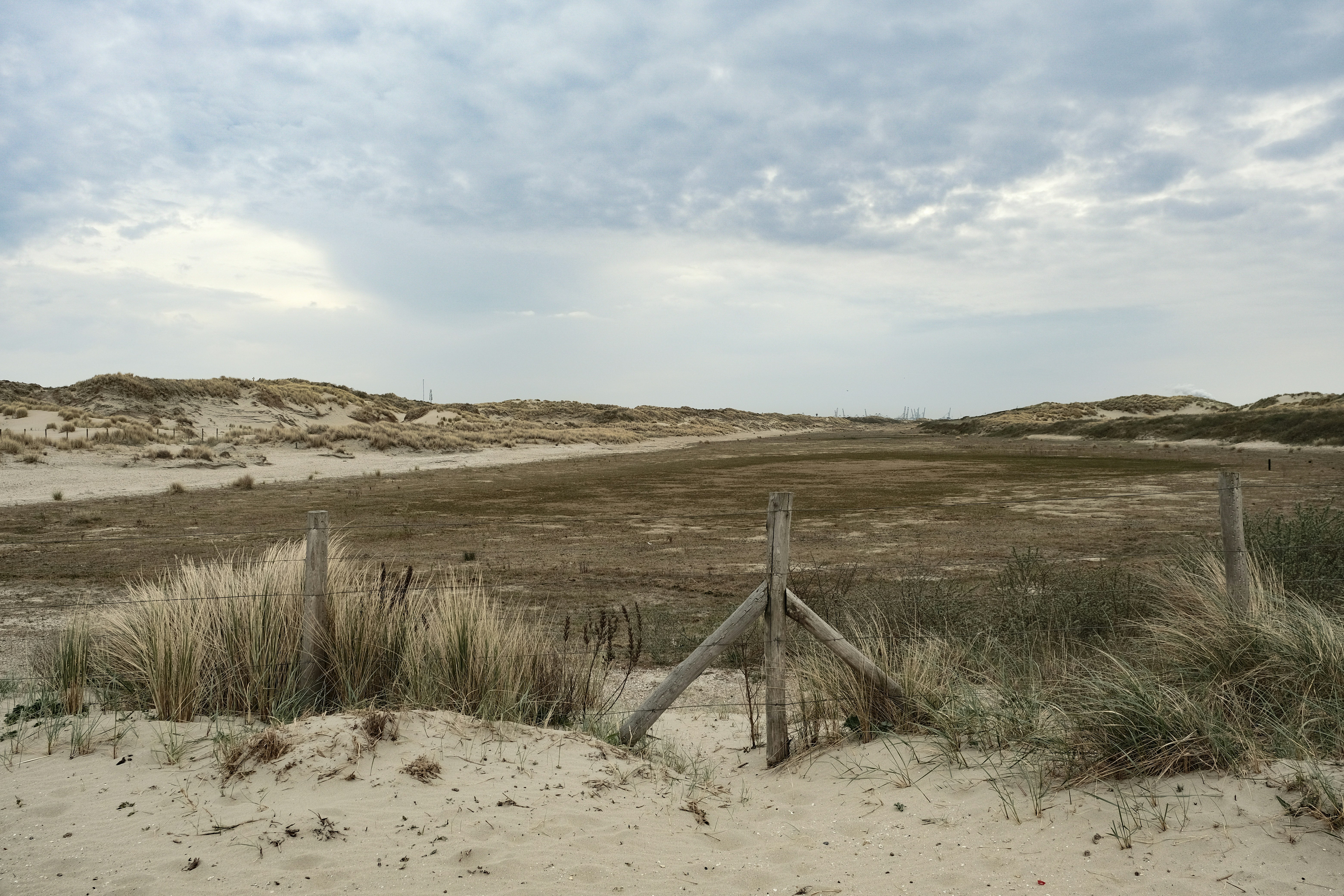 A cloudy day on the beach and dunes.