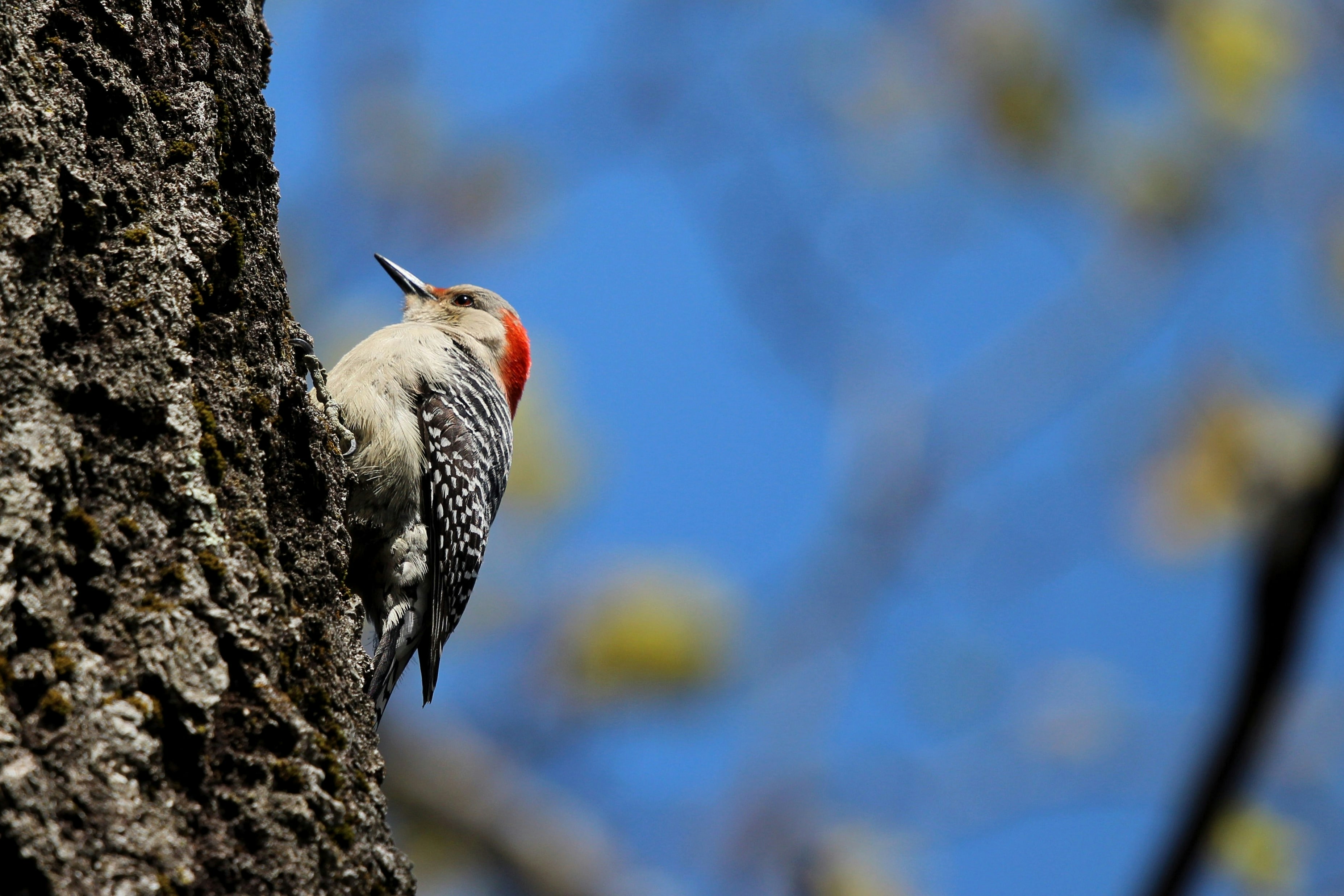 Photo by hasnainsikora