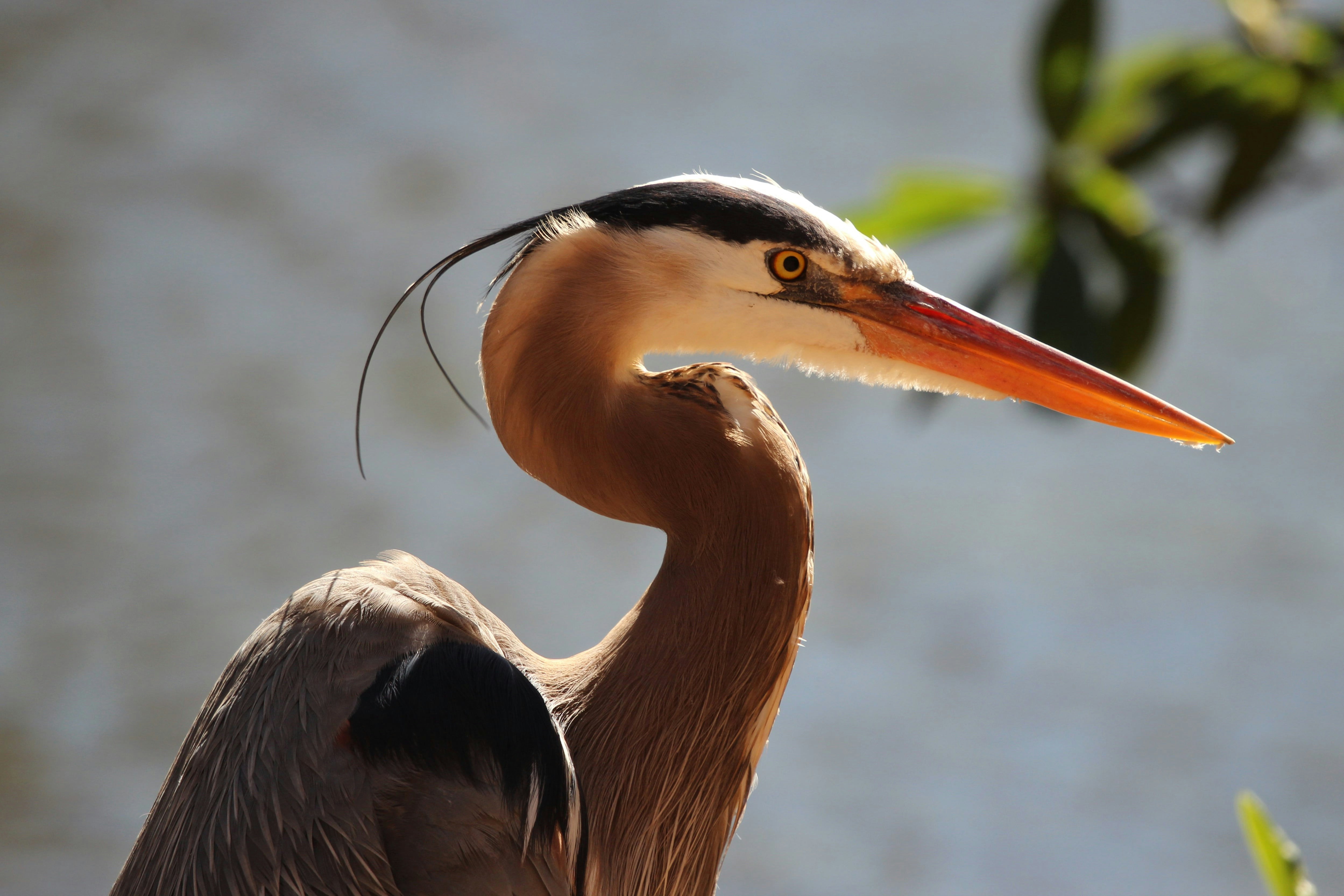 Photo by hasnainsikora