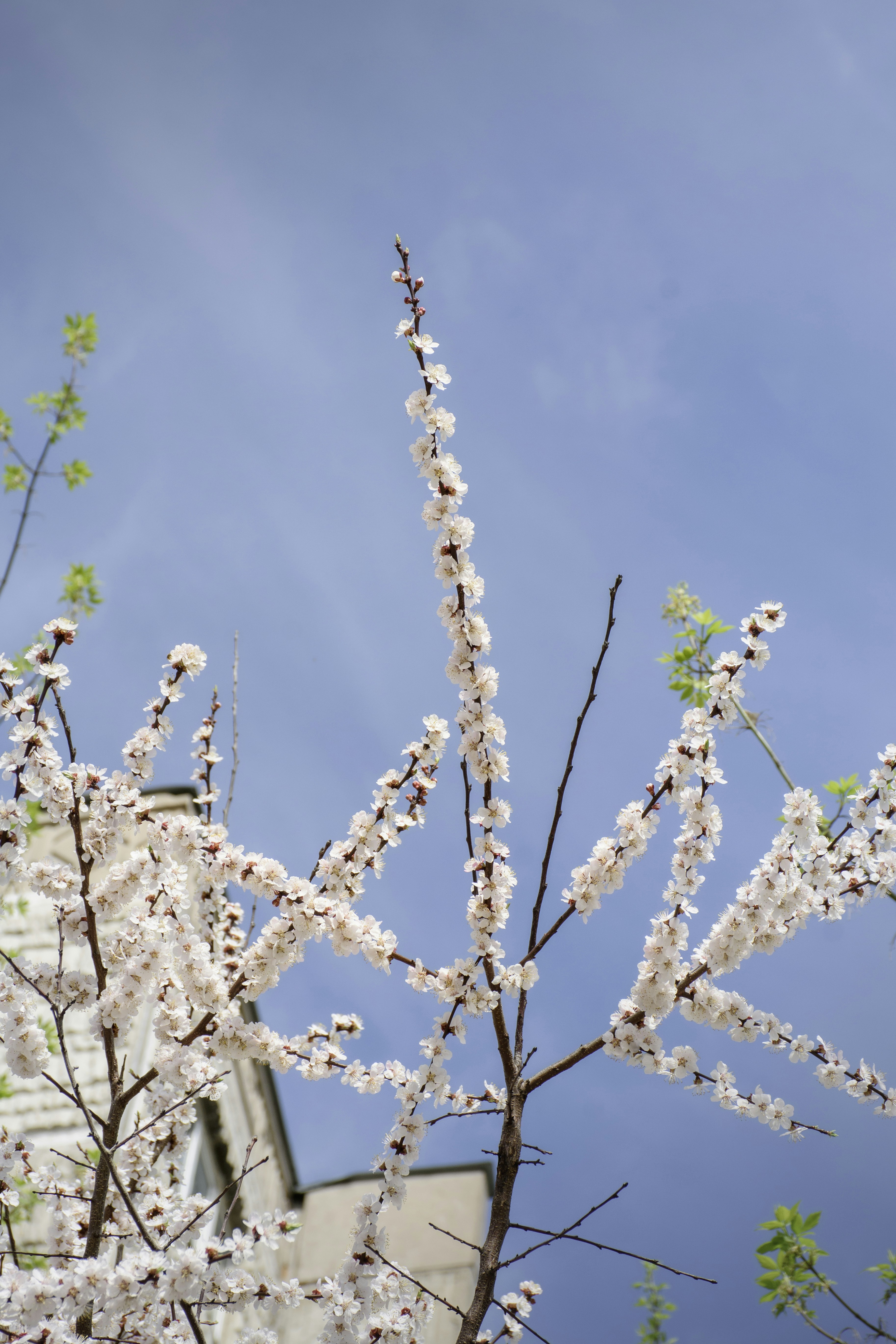 Photo by polina_twin