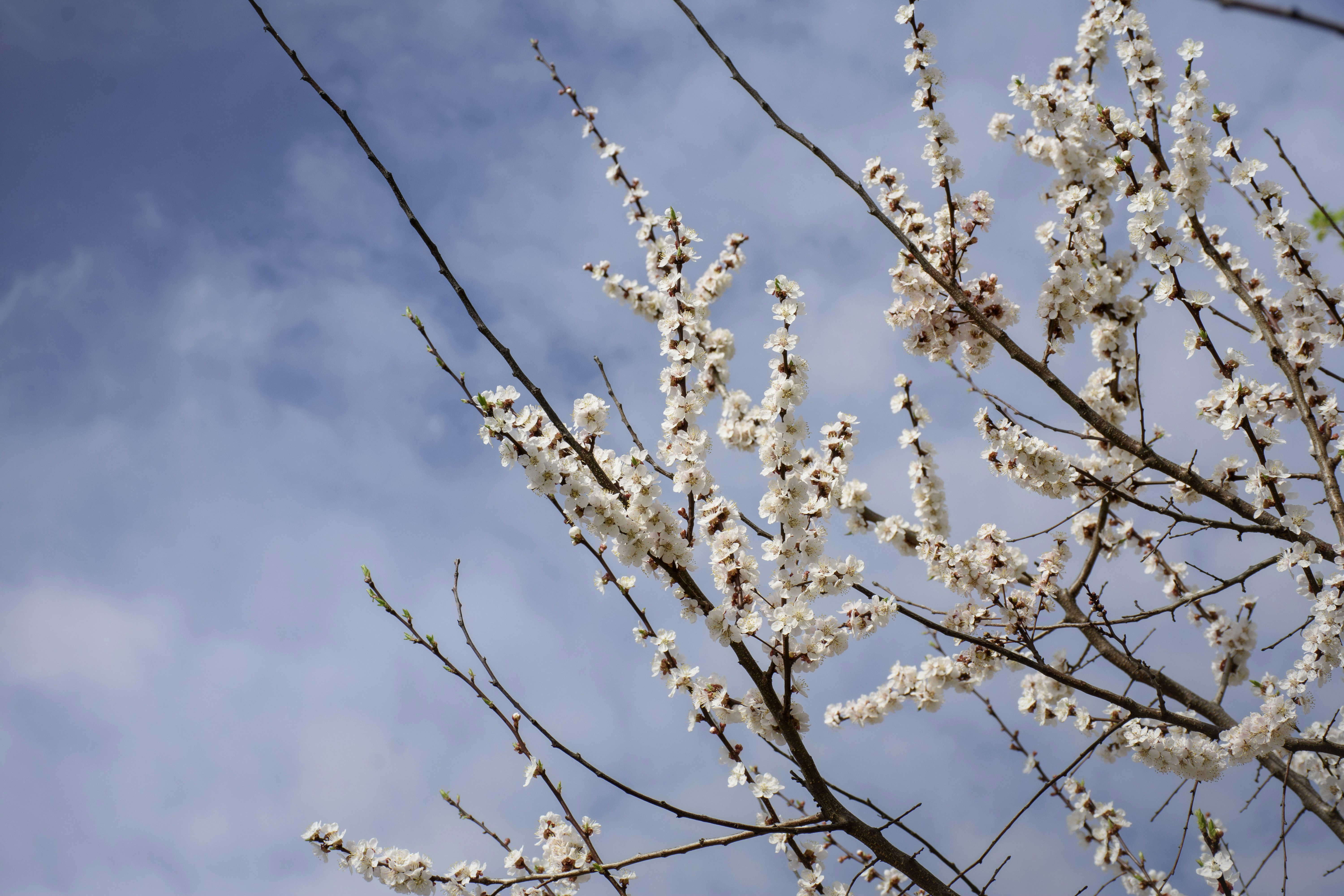 Photo by polina_twin