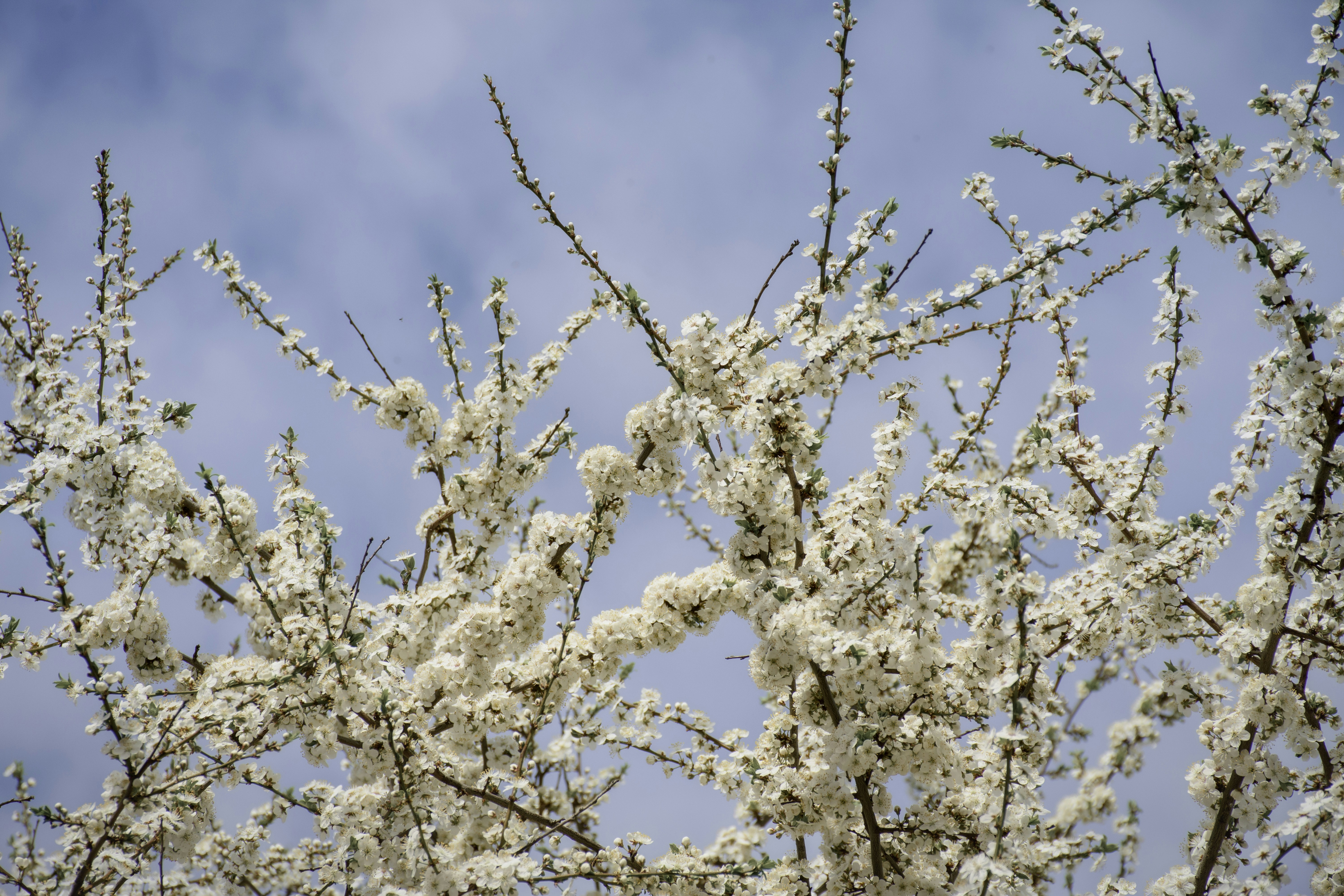 Photo by polina_twin