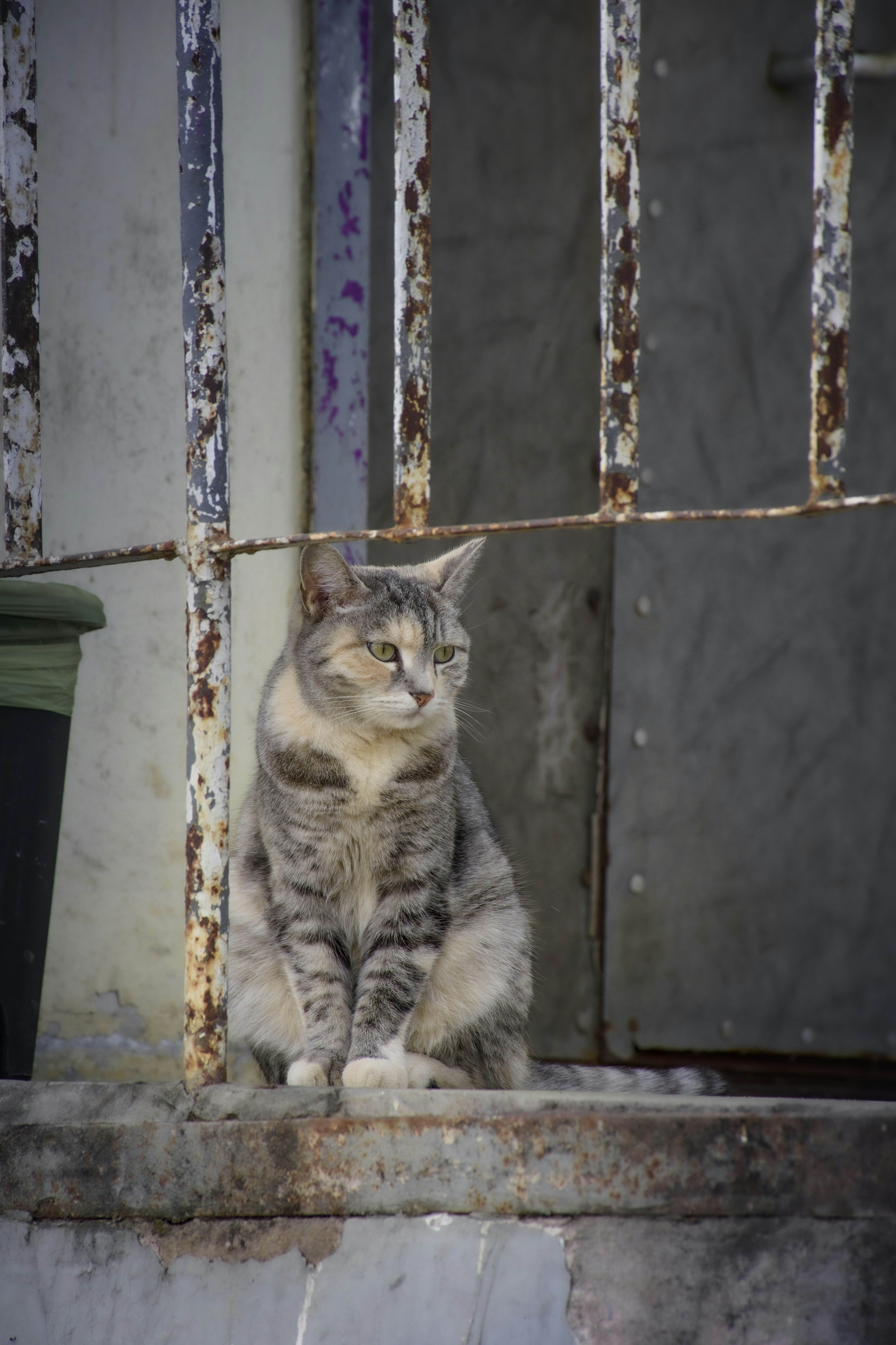 Photo by polina_twin