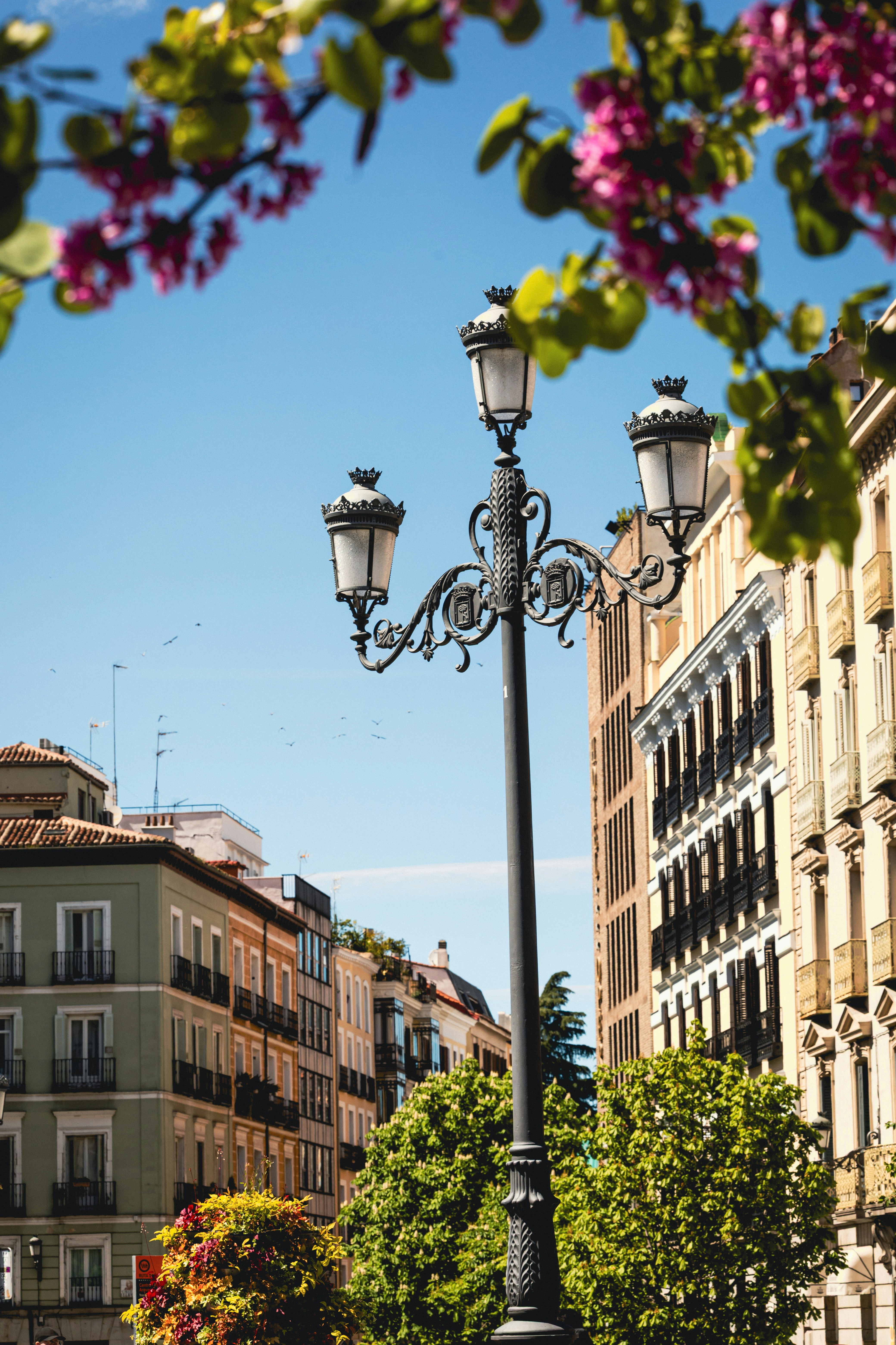 Photo by bypietracruz