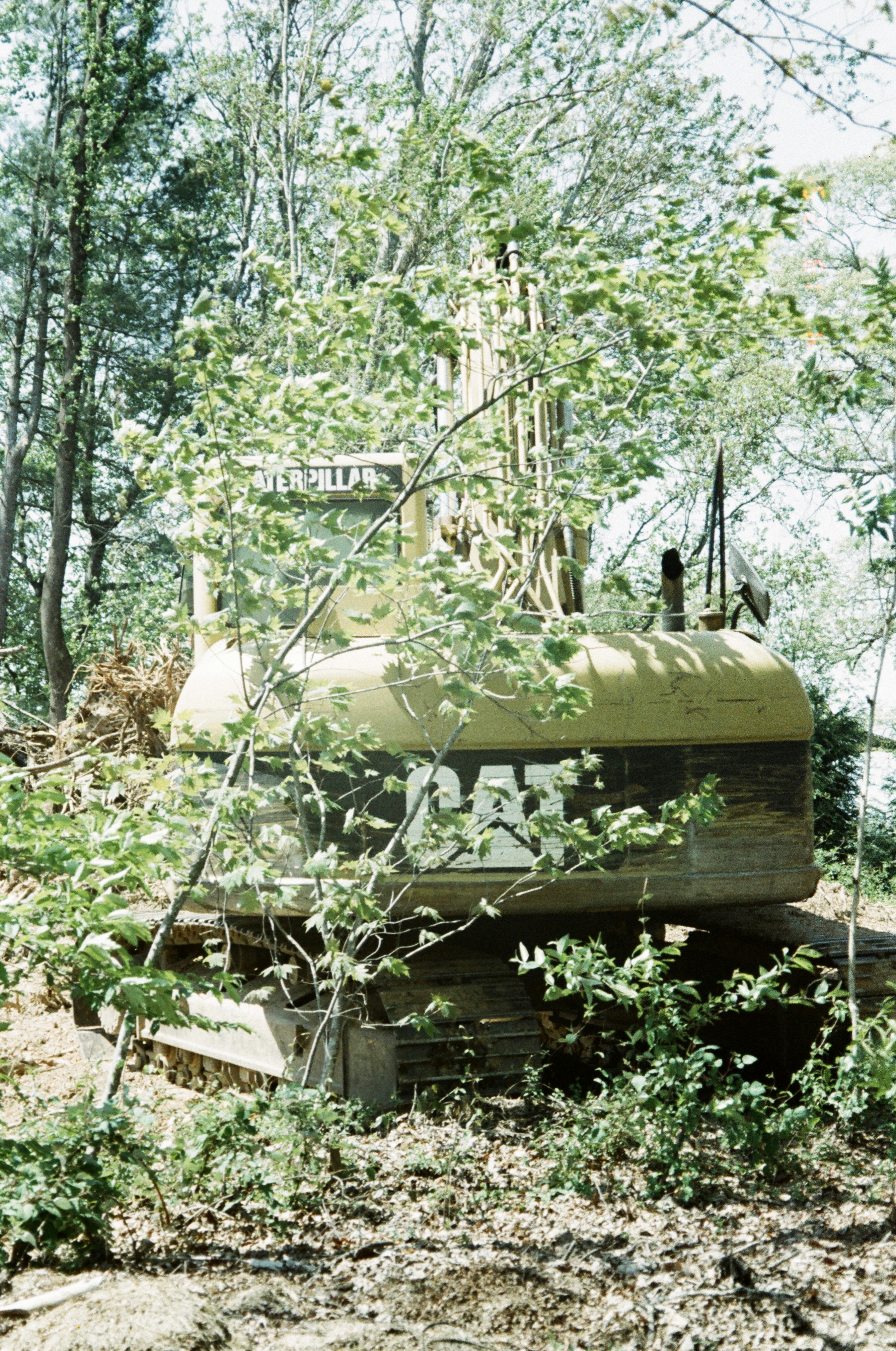 A yellow cat excavator is hidden in the foliage.