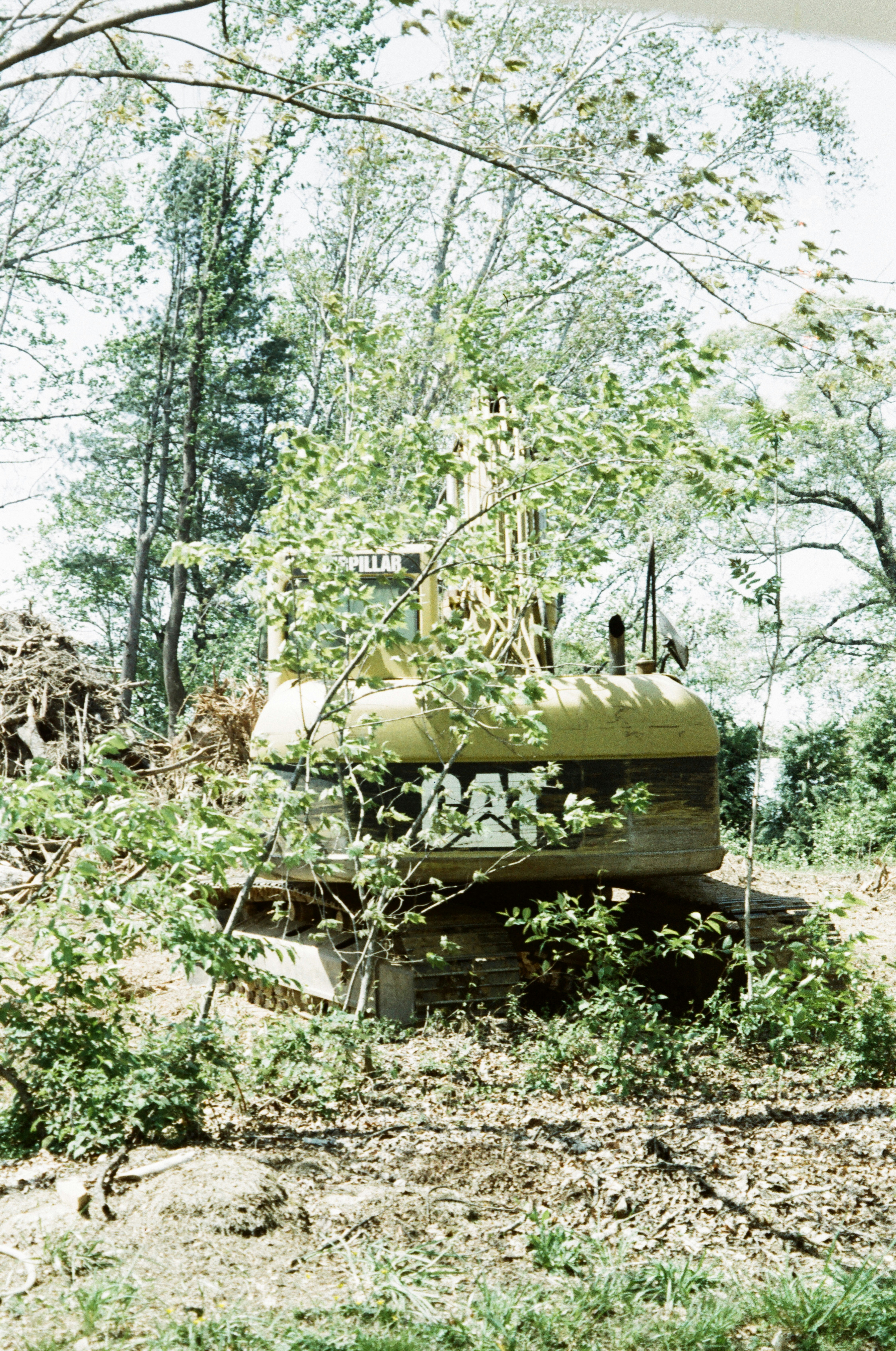 A bulldozer rests in a forest clearing.