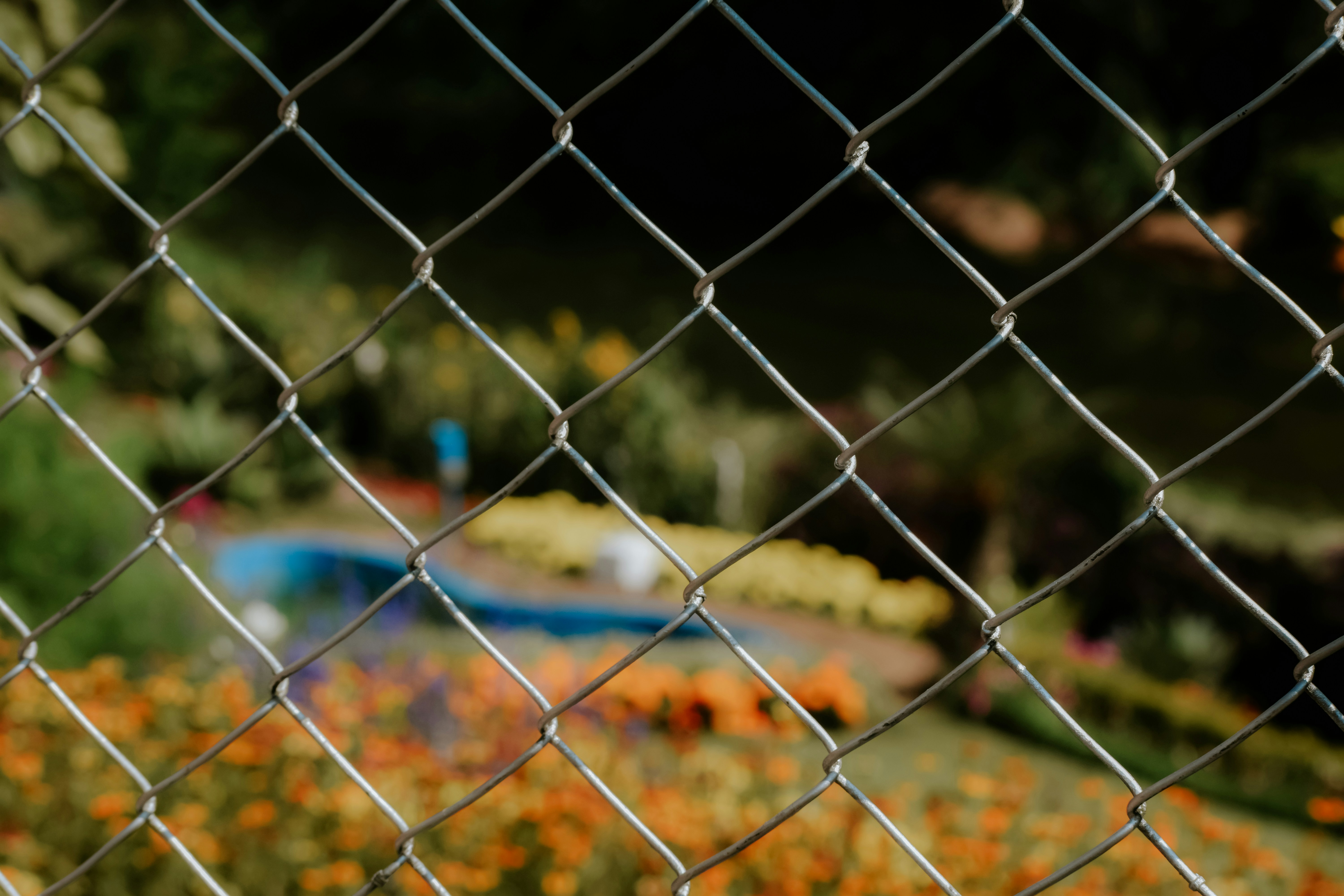 Photo by farsanamanaf