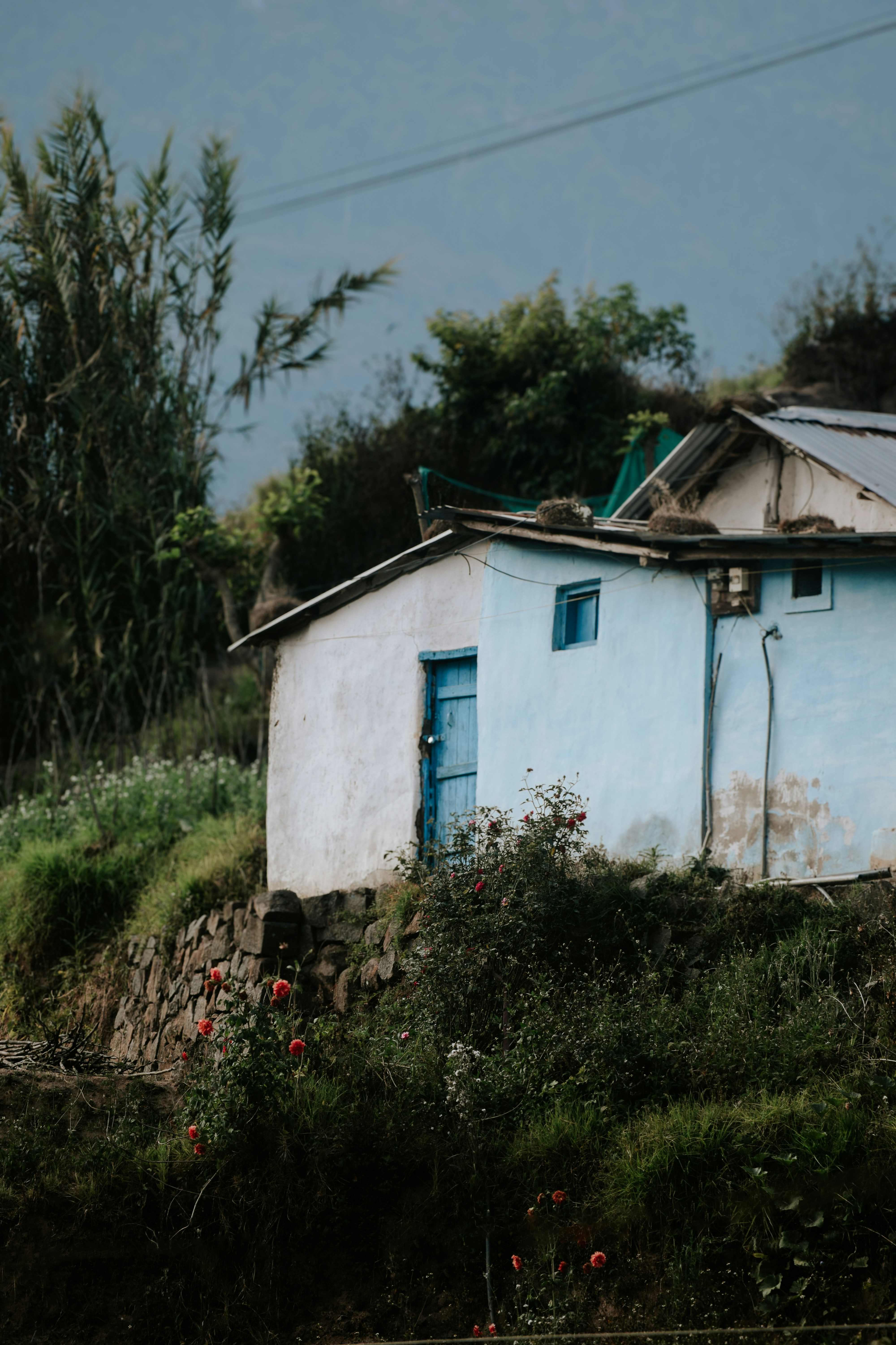 Photo by farsanamanaf