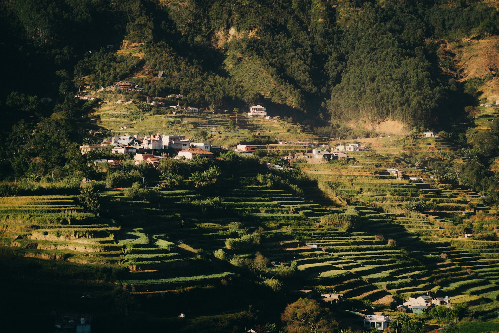 Terraced fields and a village nestled in the hills.