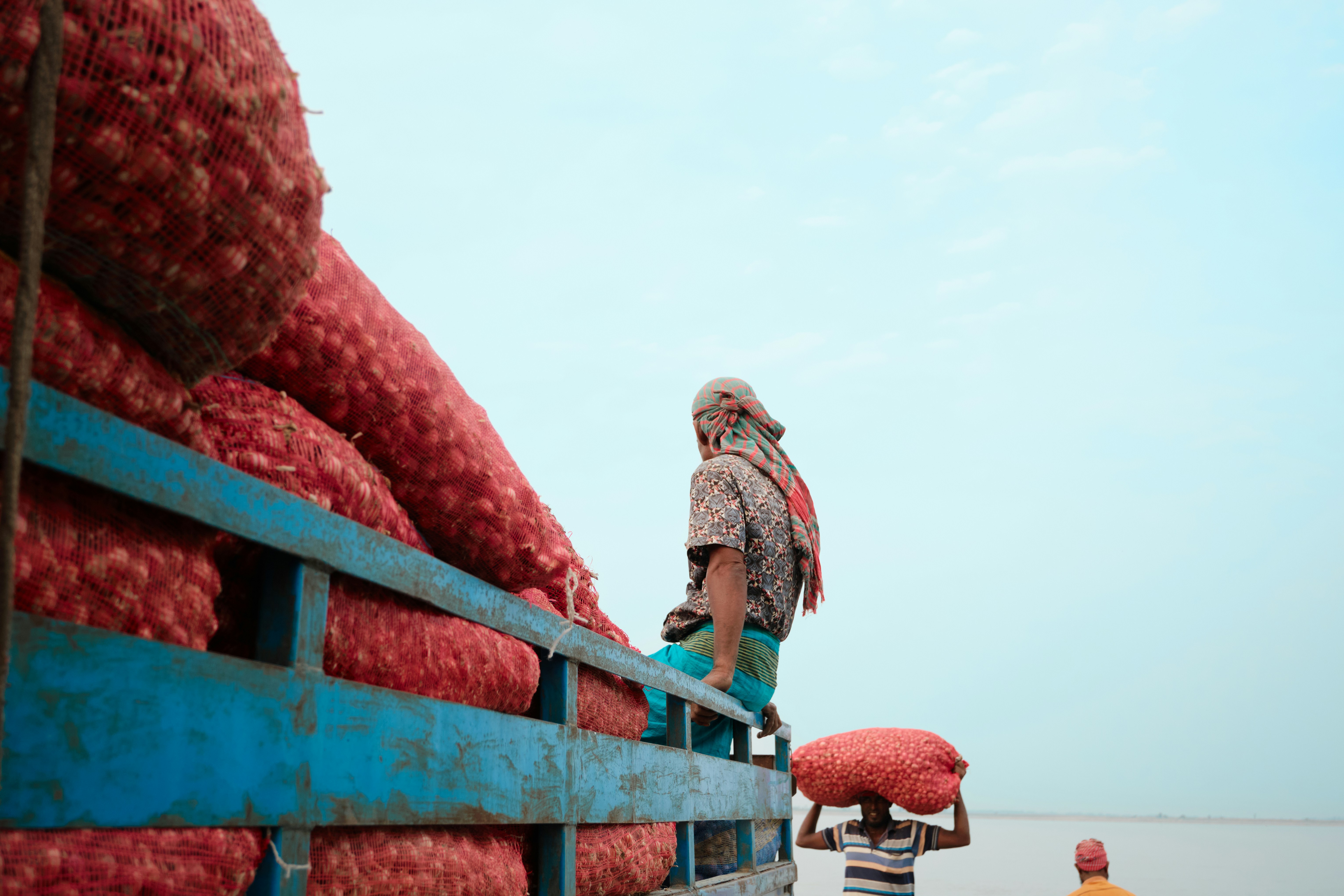 Workers load sacks of onions onto a truck.