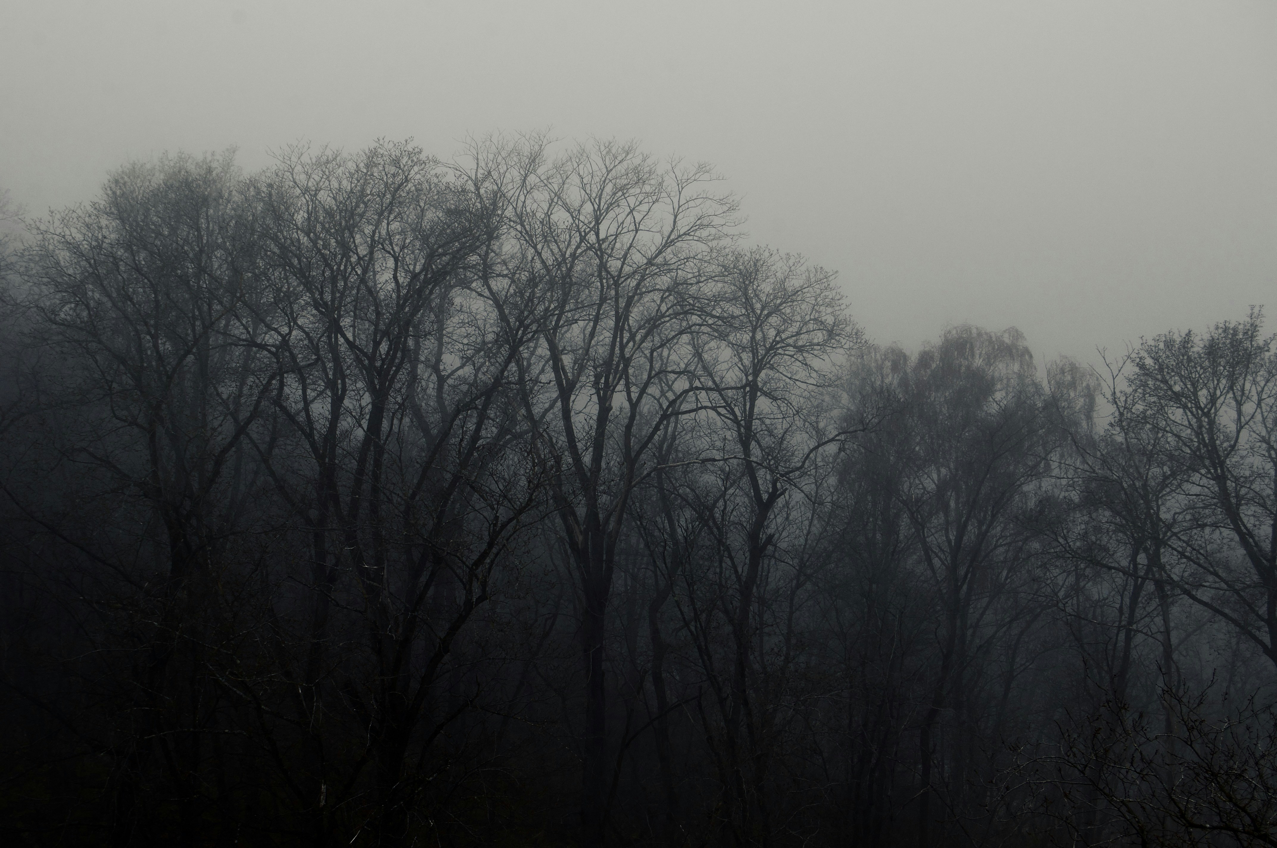 Photo by alexanderphotography