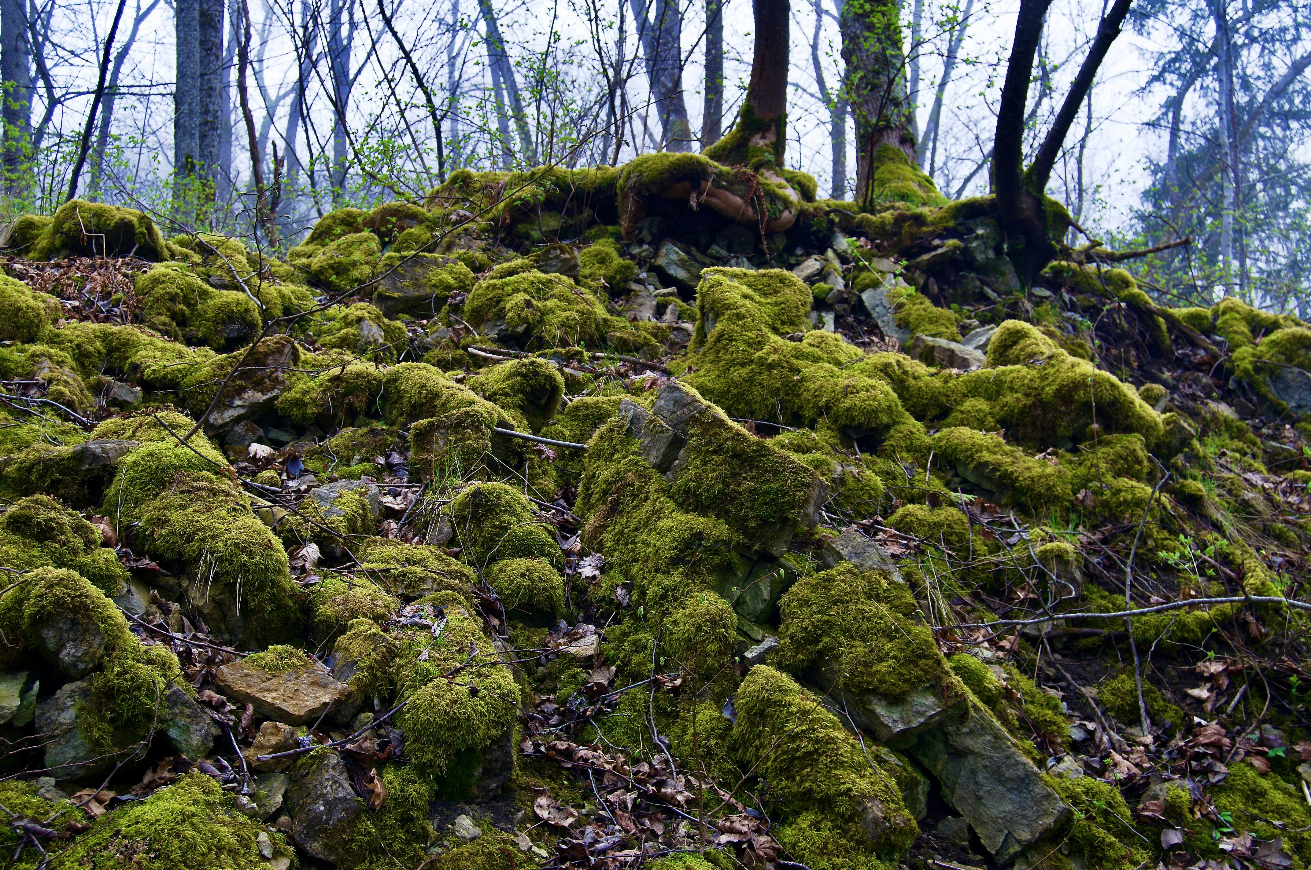 Photo by alexanderphotography