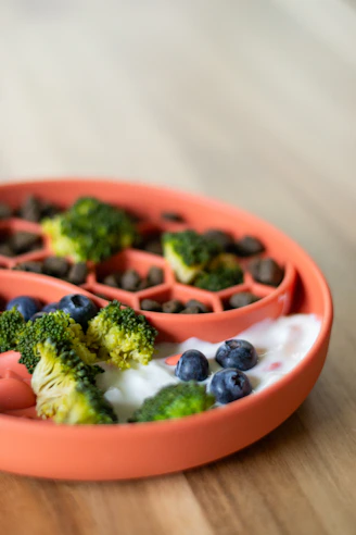 Dog food with fruits and broccoli.