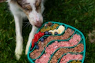 Dog about to eat from a colorful, healthy food tray.