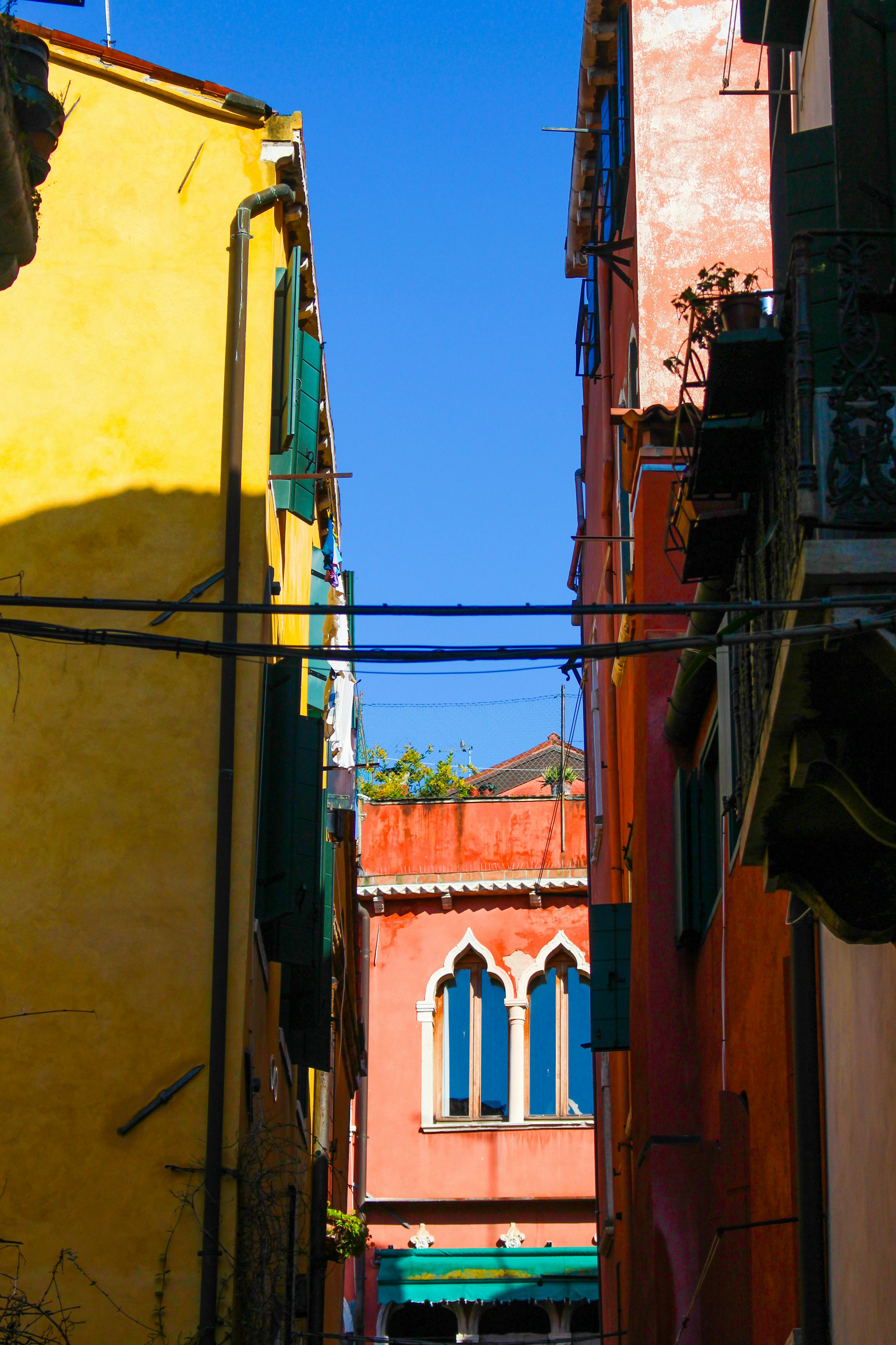 Photo by katewells27