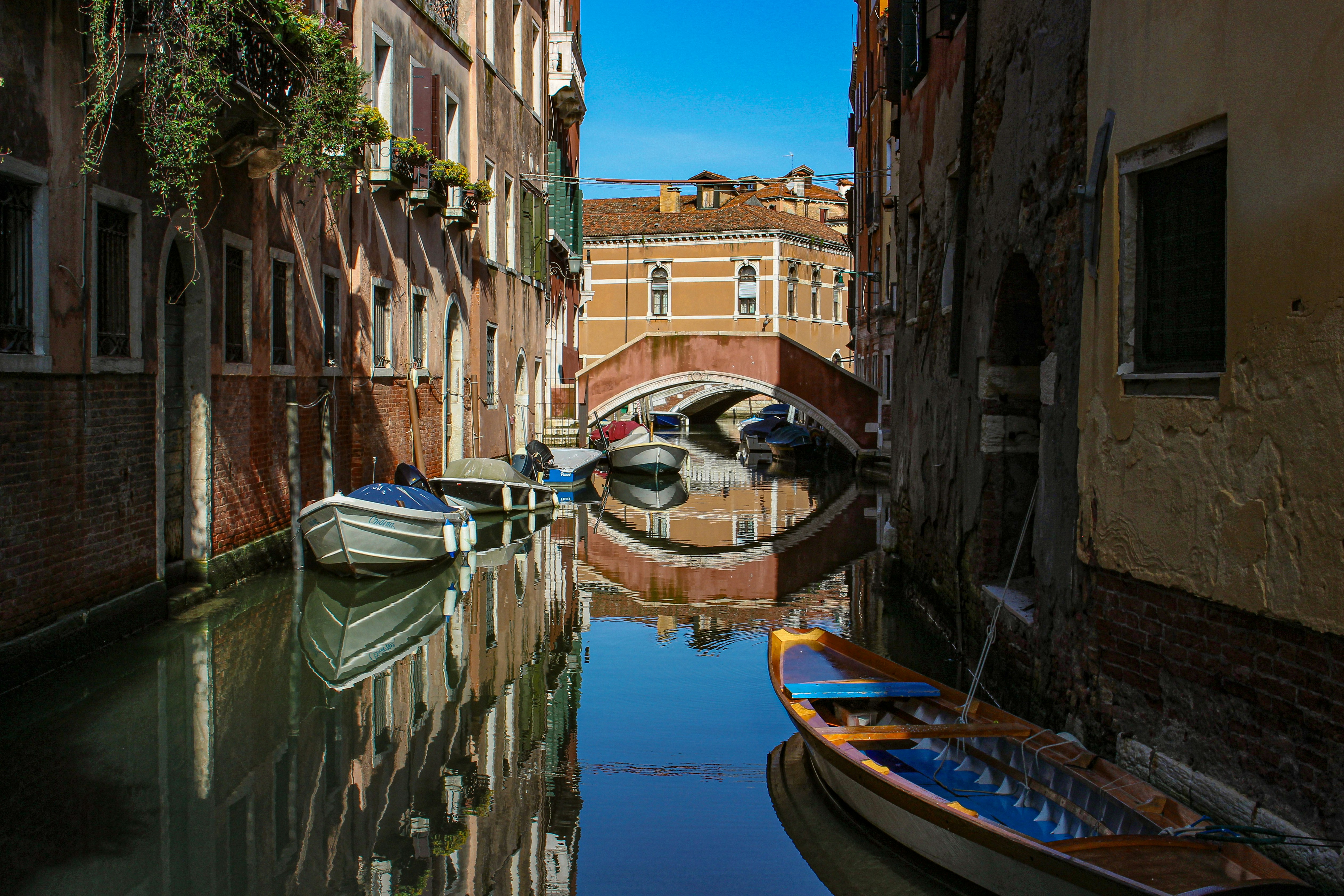 Photo by katewells27