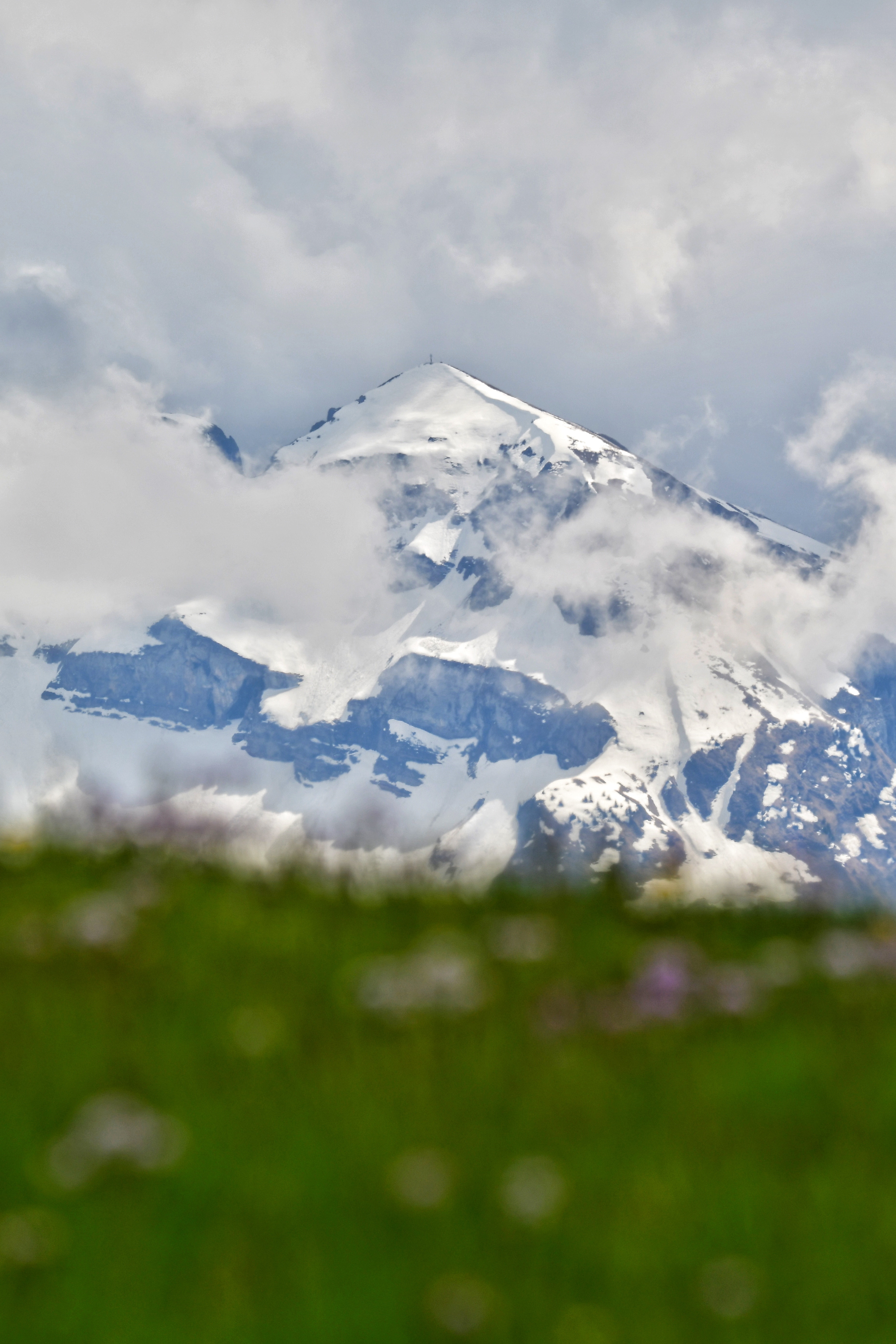 Photo by pedrino5_official