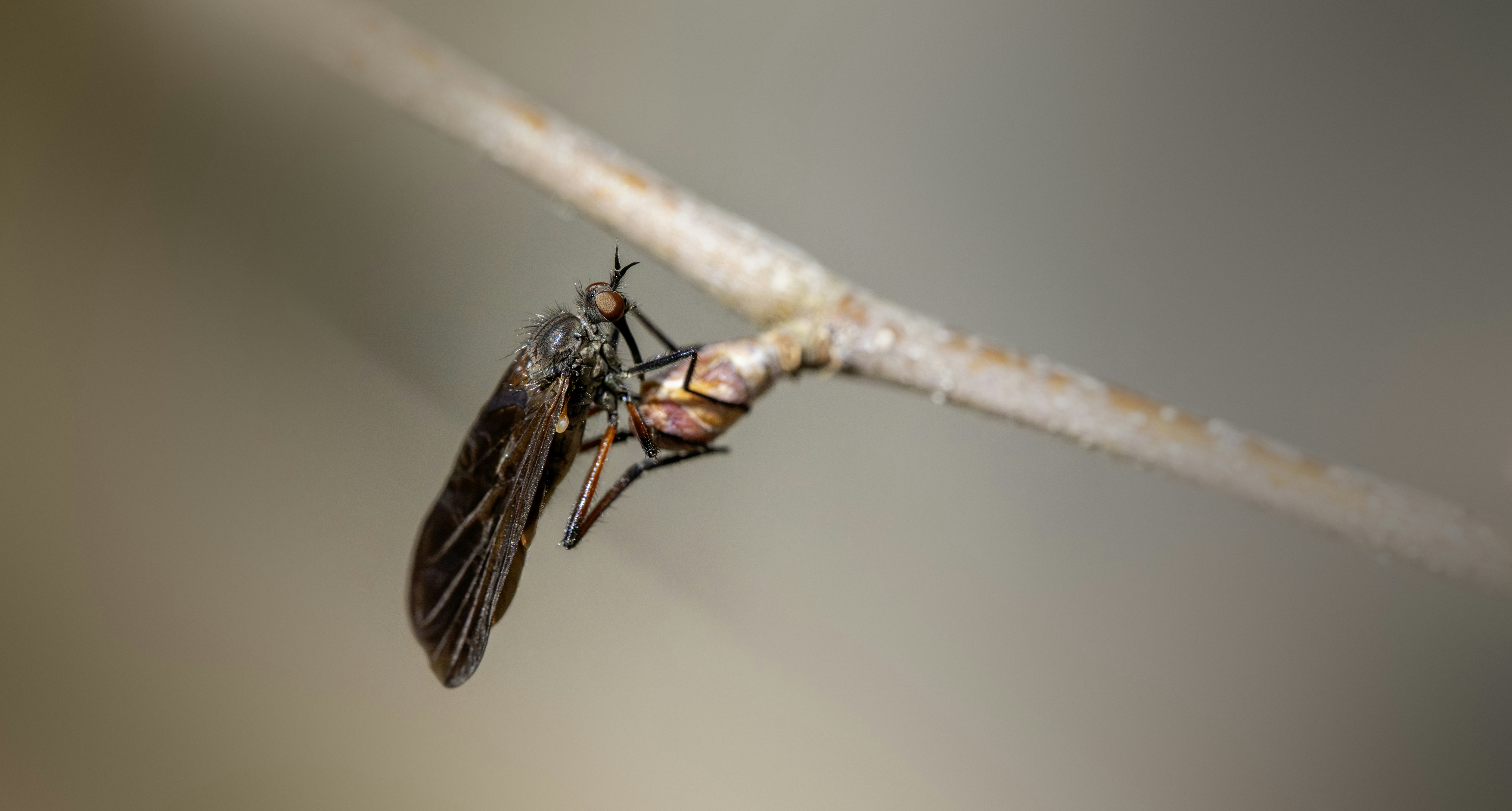 Photo by erik_karits