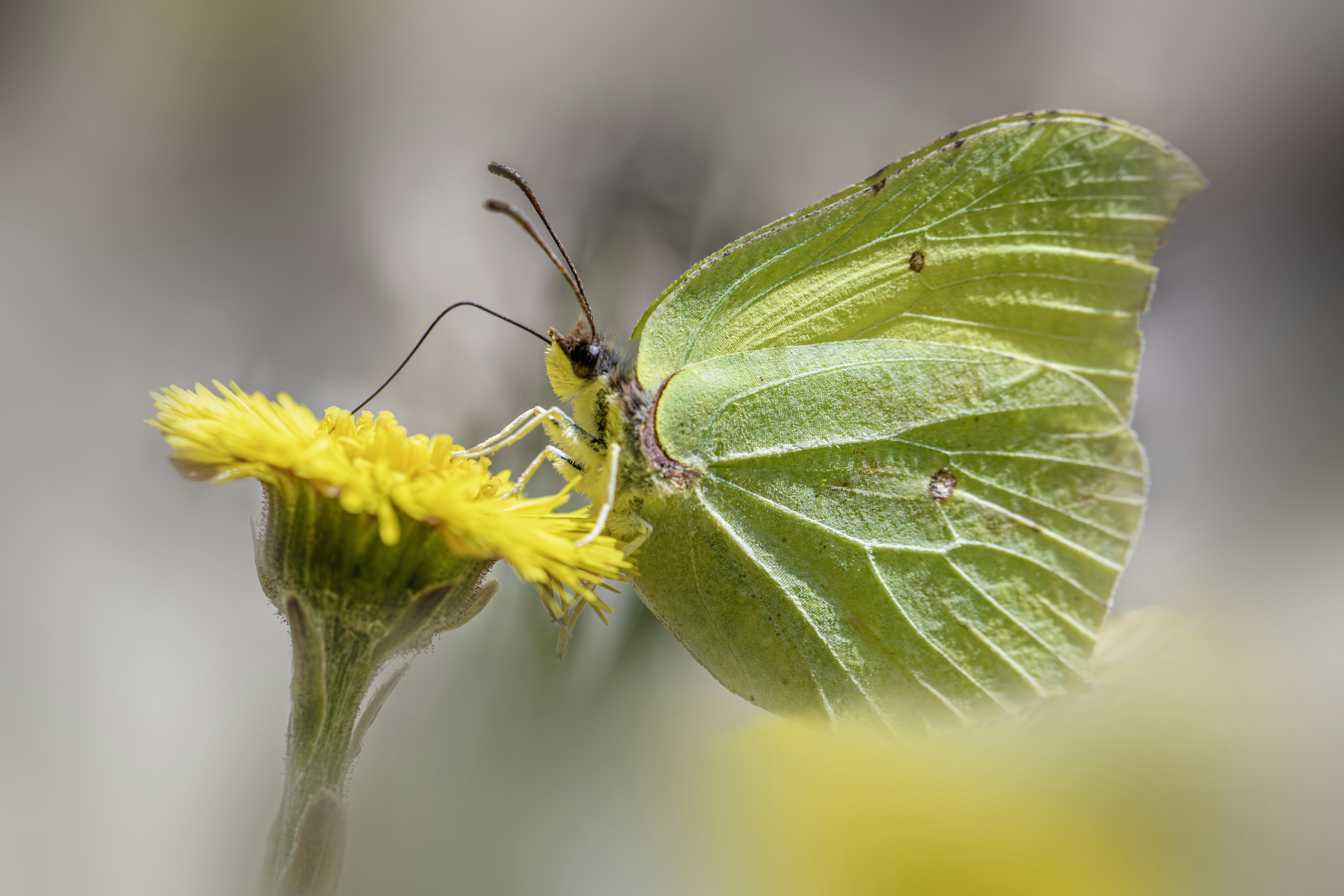 Photo by erik_karits