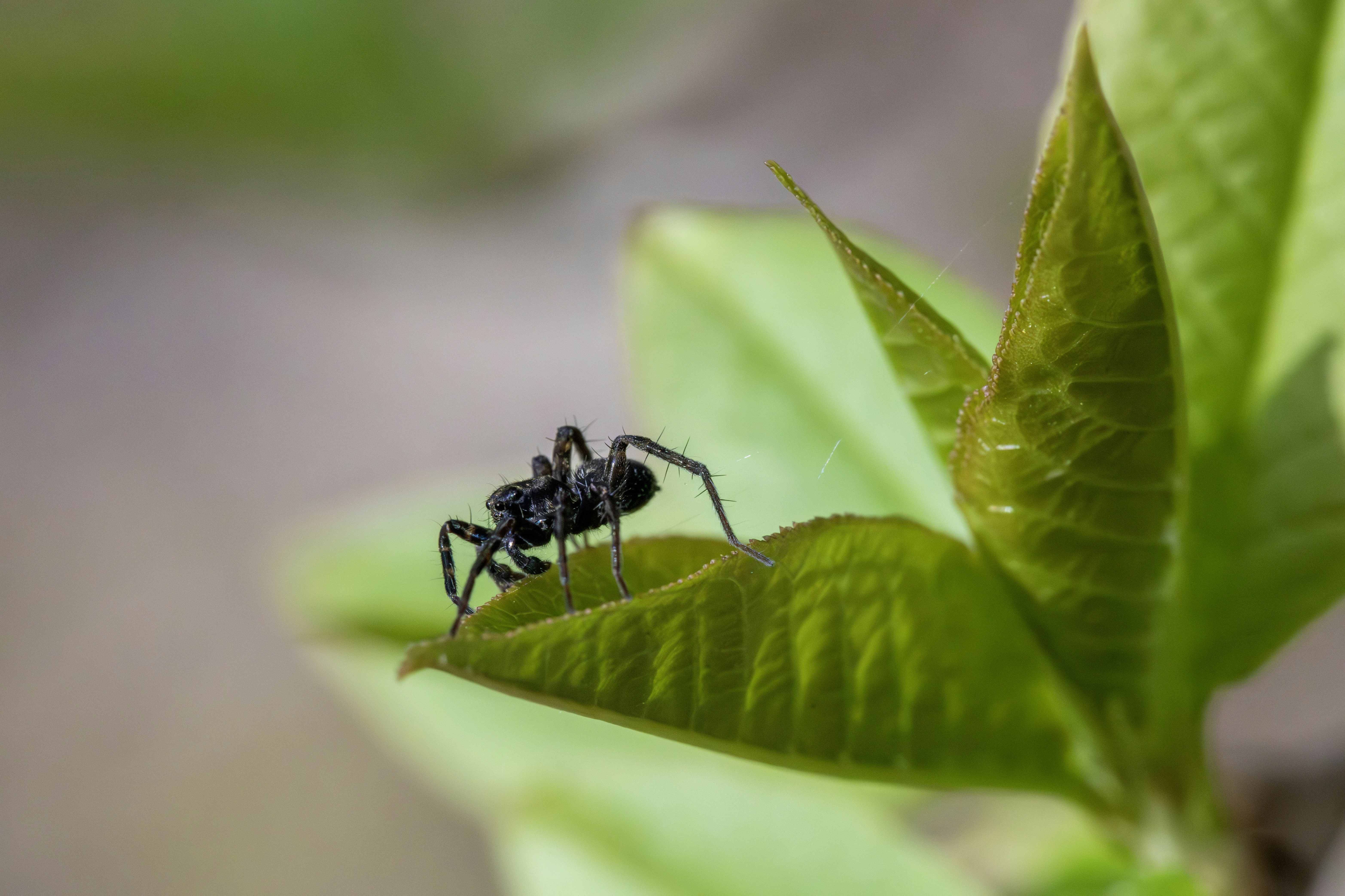 Photo by erik_karits