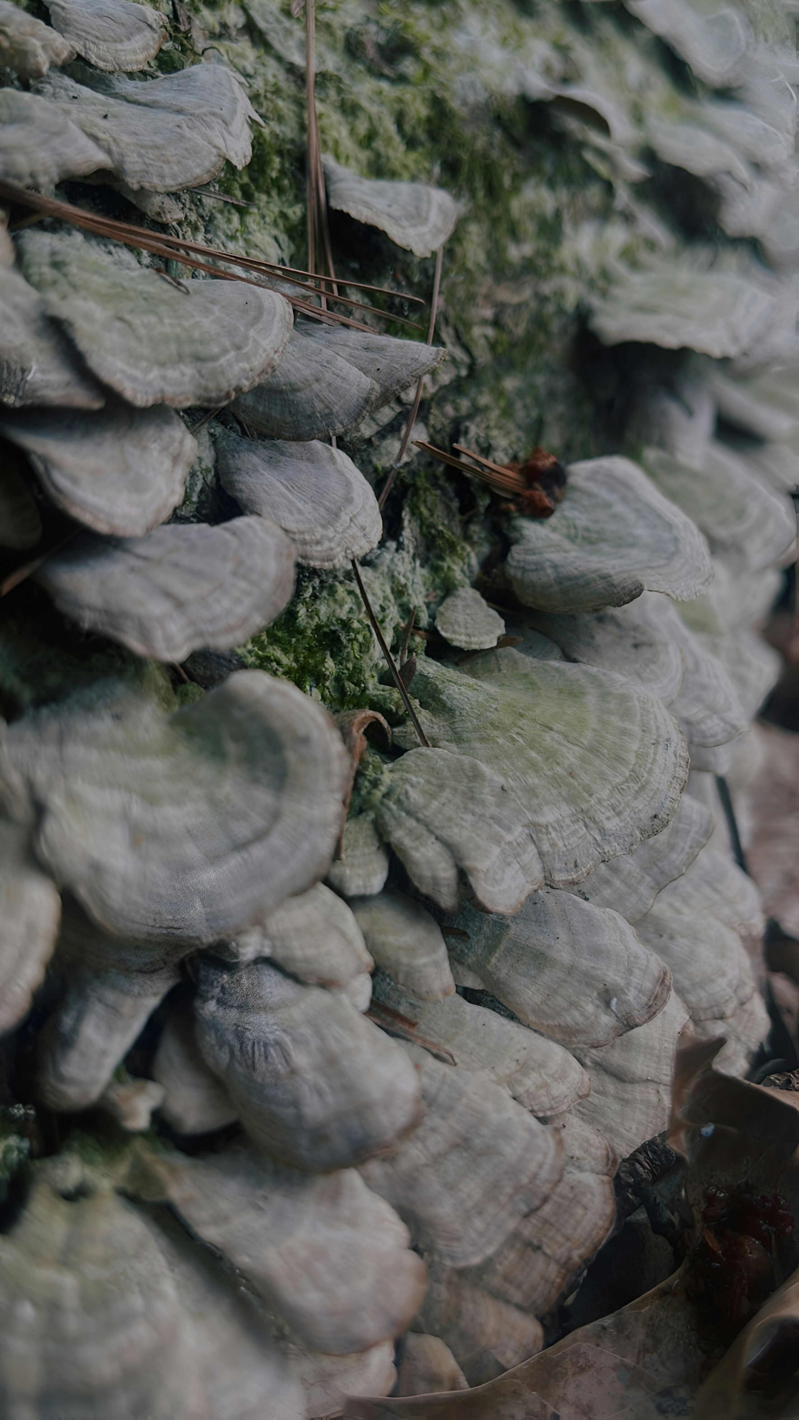 Photo by brianna_santellan