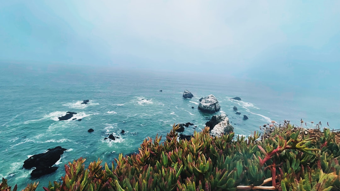 Ocean view with rocks and fog.,