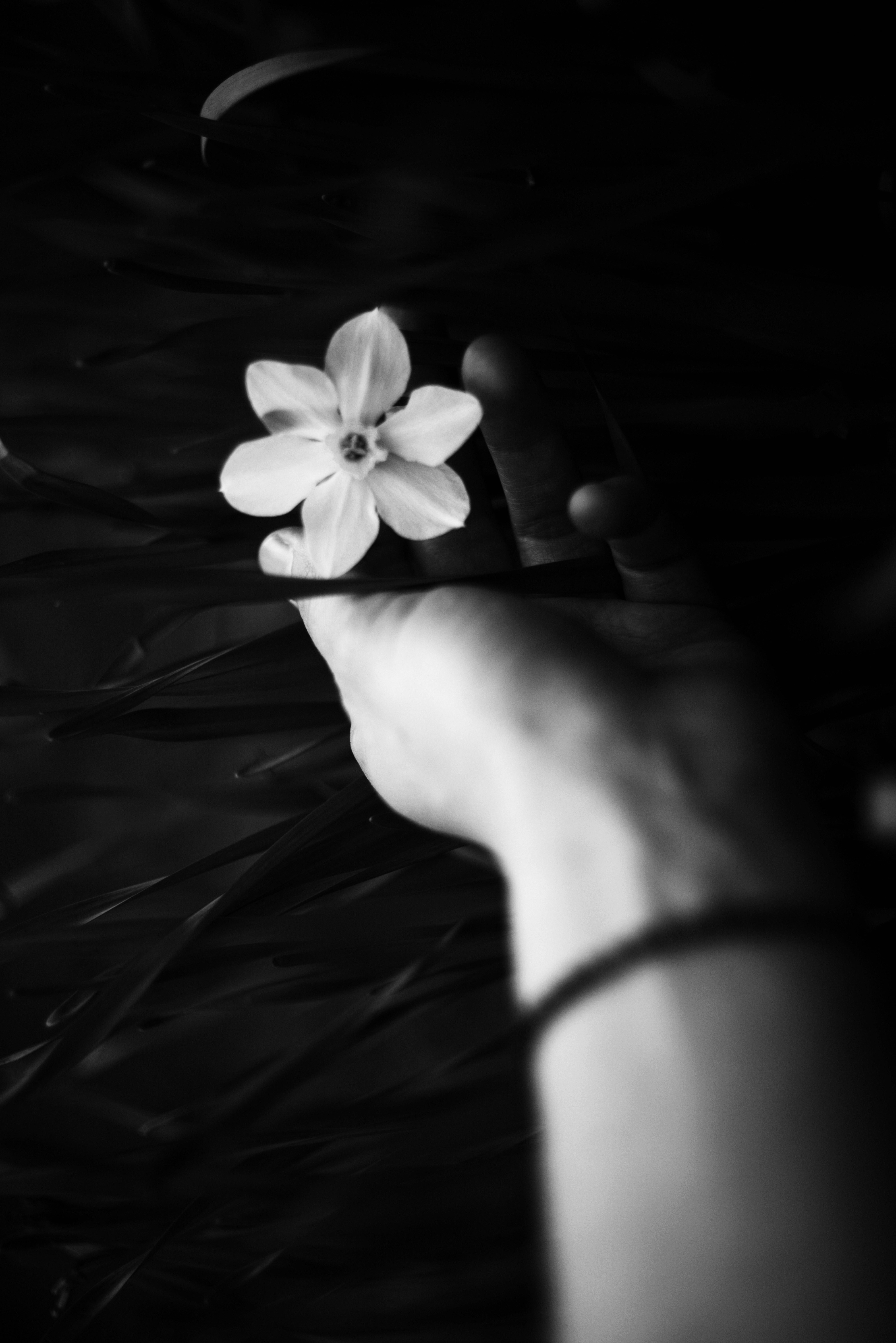 Photo by cherstve_pechivo