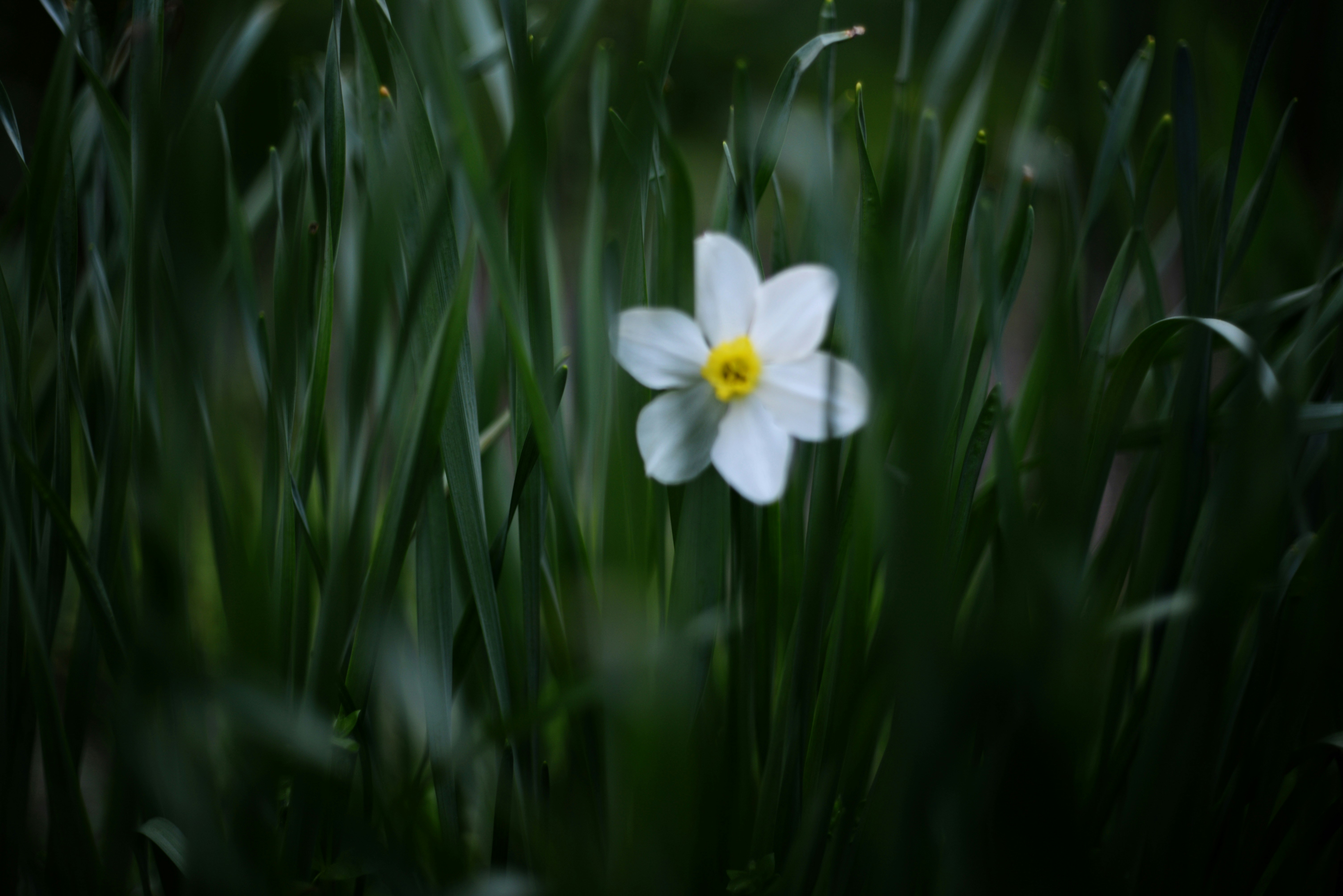 Photo by cherstve_pechivo