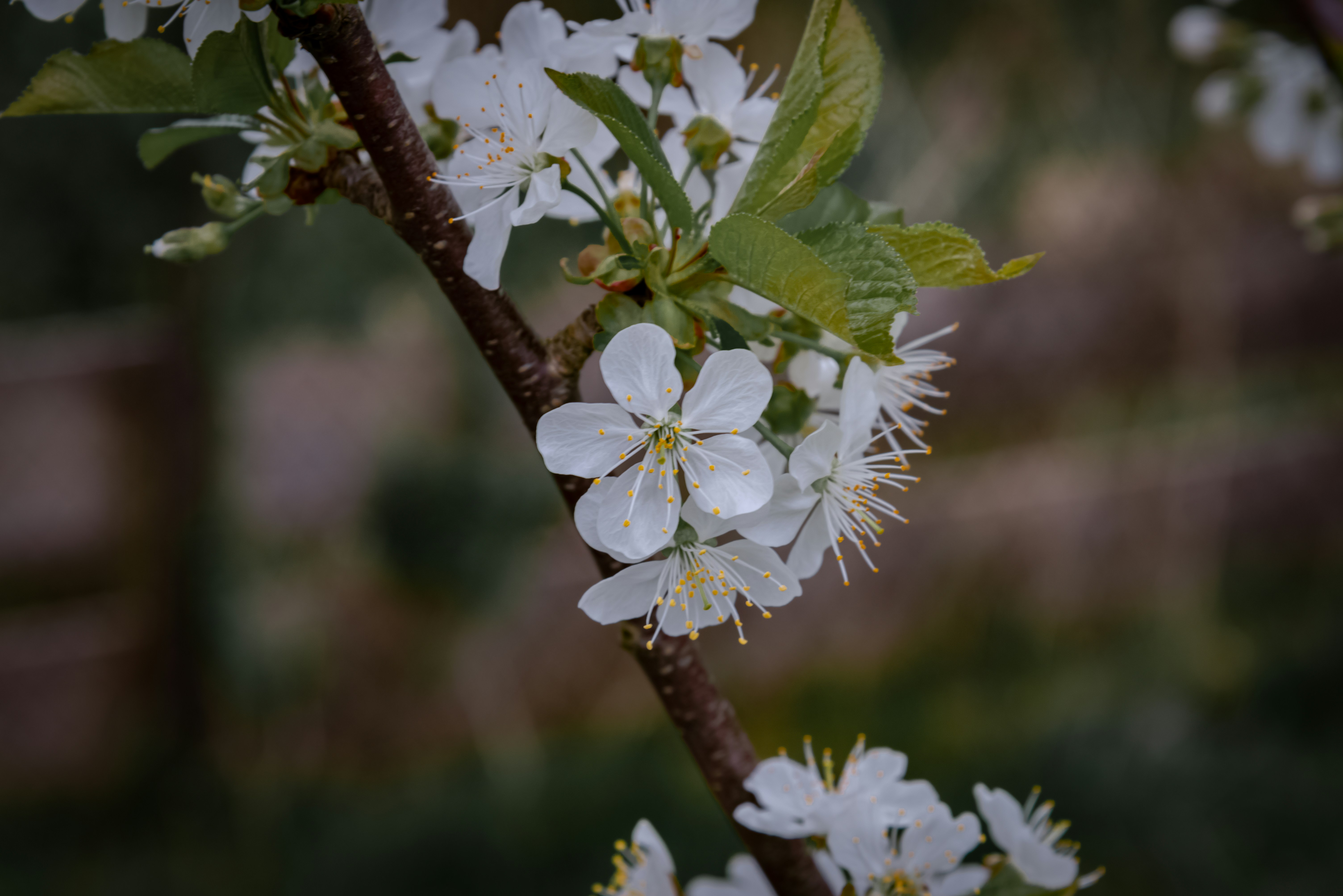 Photo by malwinanogaj