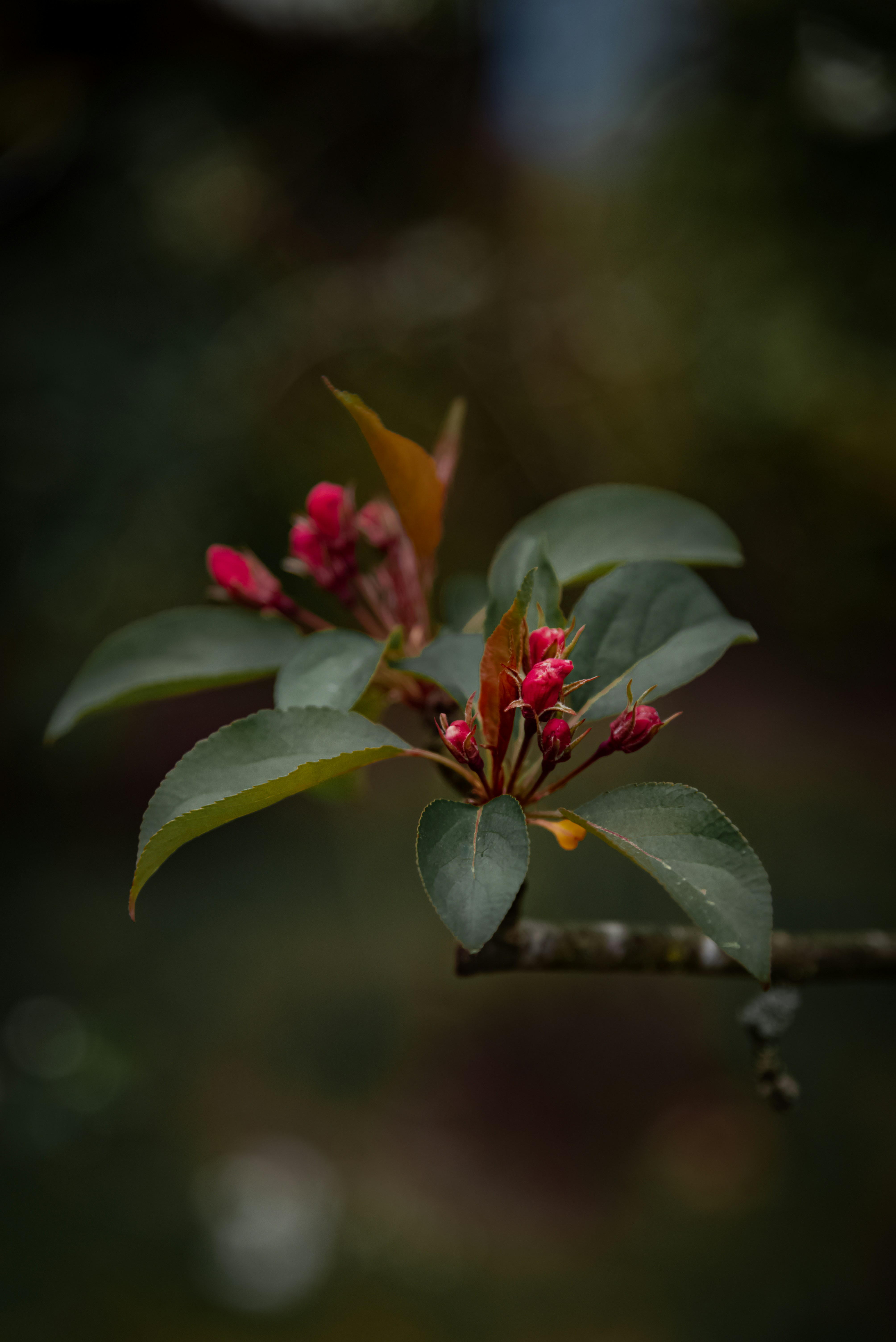 Photo by malwinanogaj