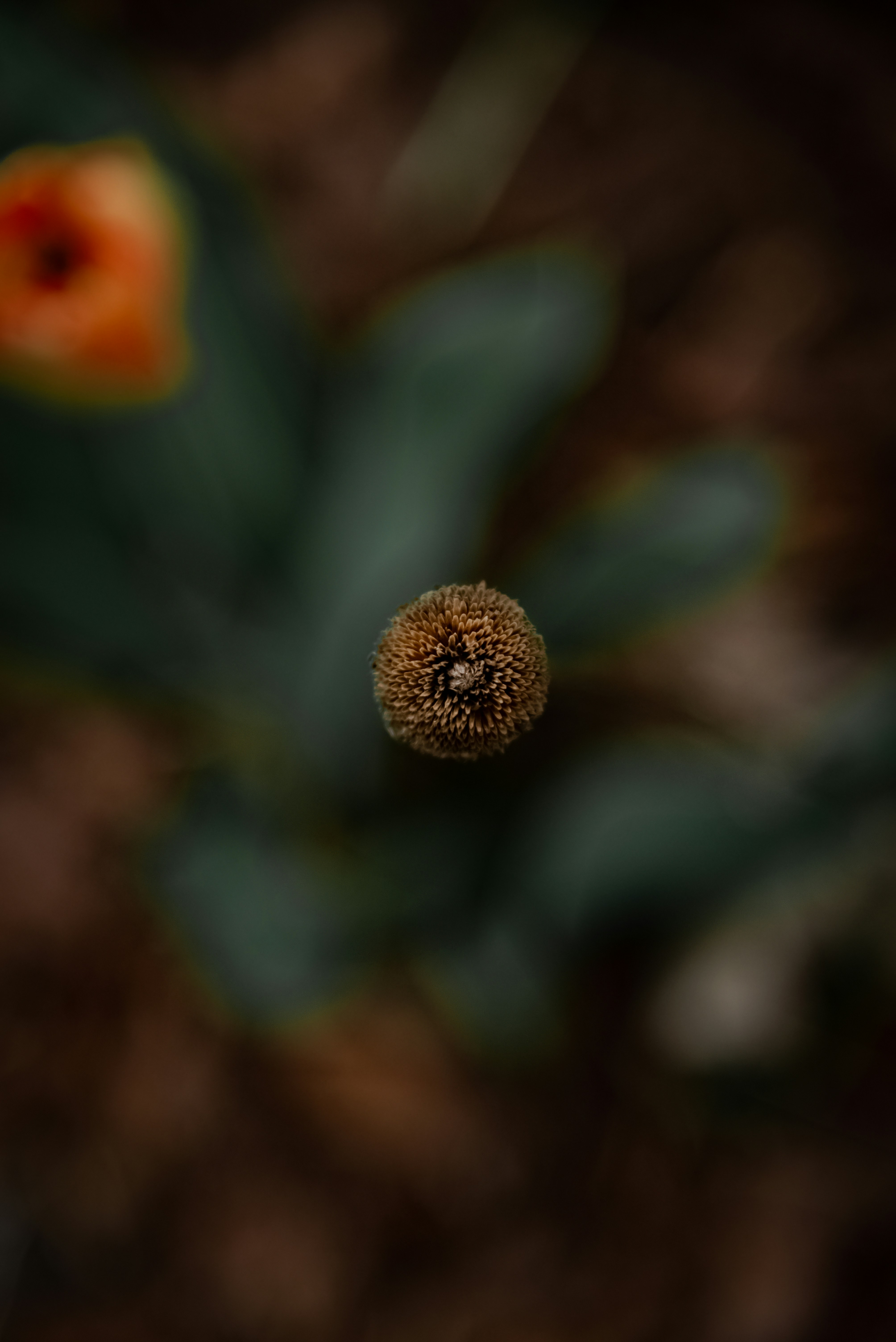 Photo by malwinanogaj