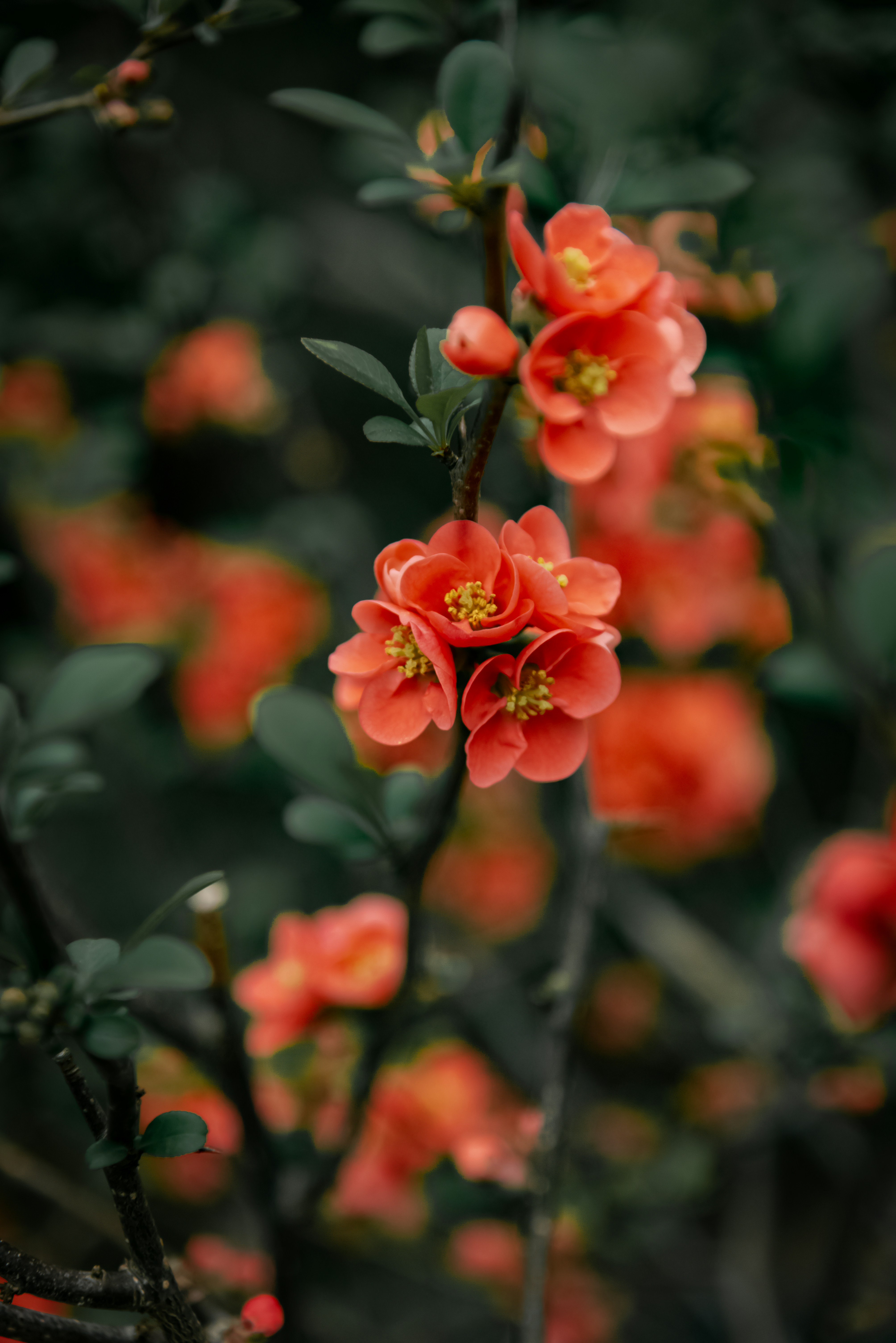 Photo by malwinanogaj