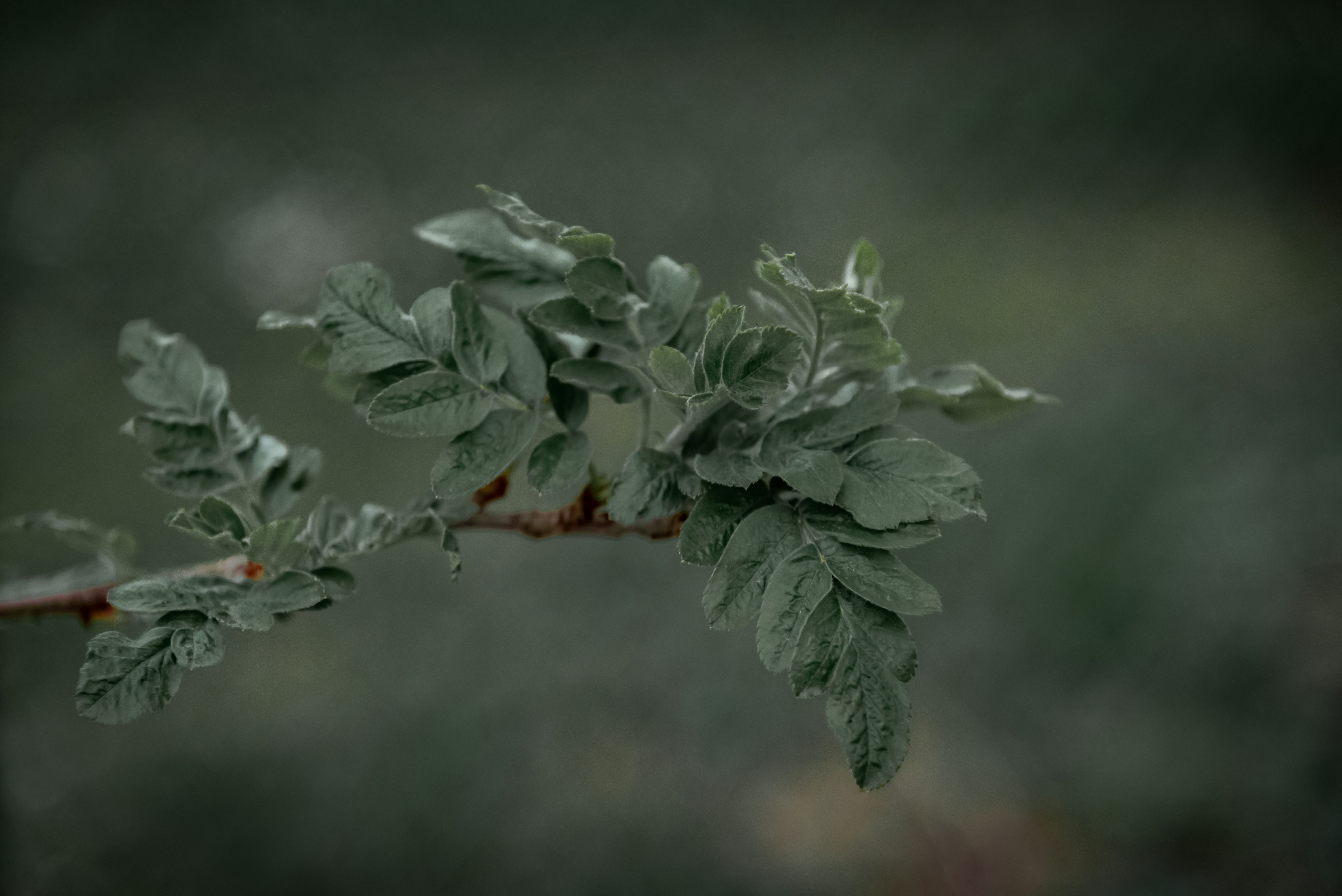 Photo by malwinanogaj