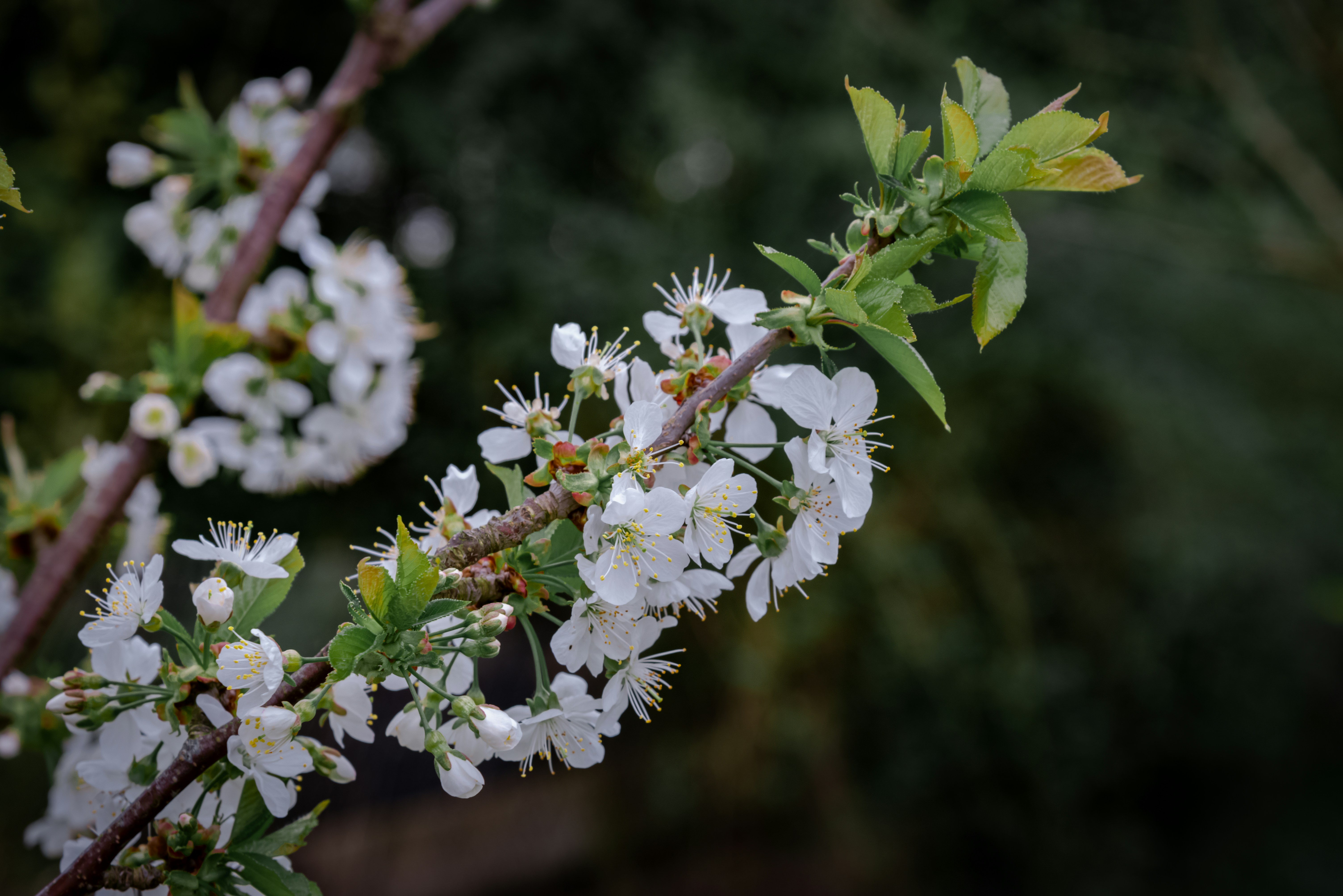 Photo by malwinanogaj