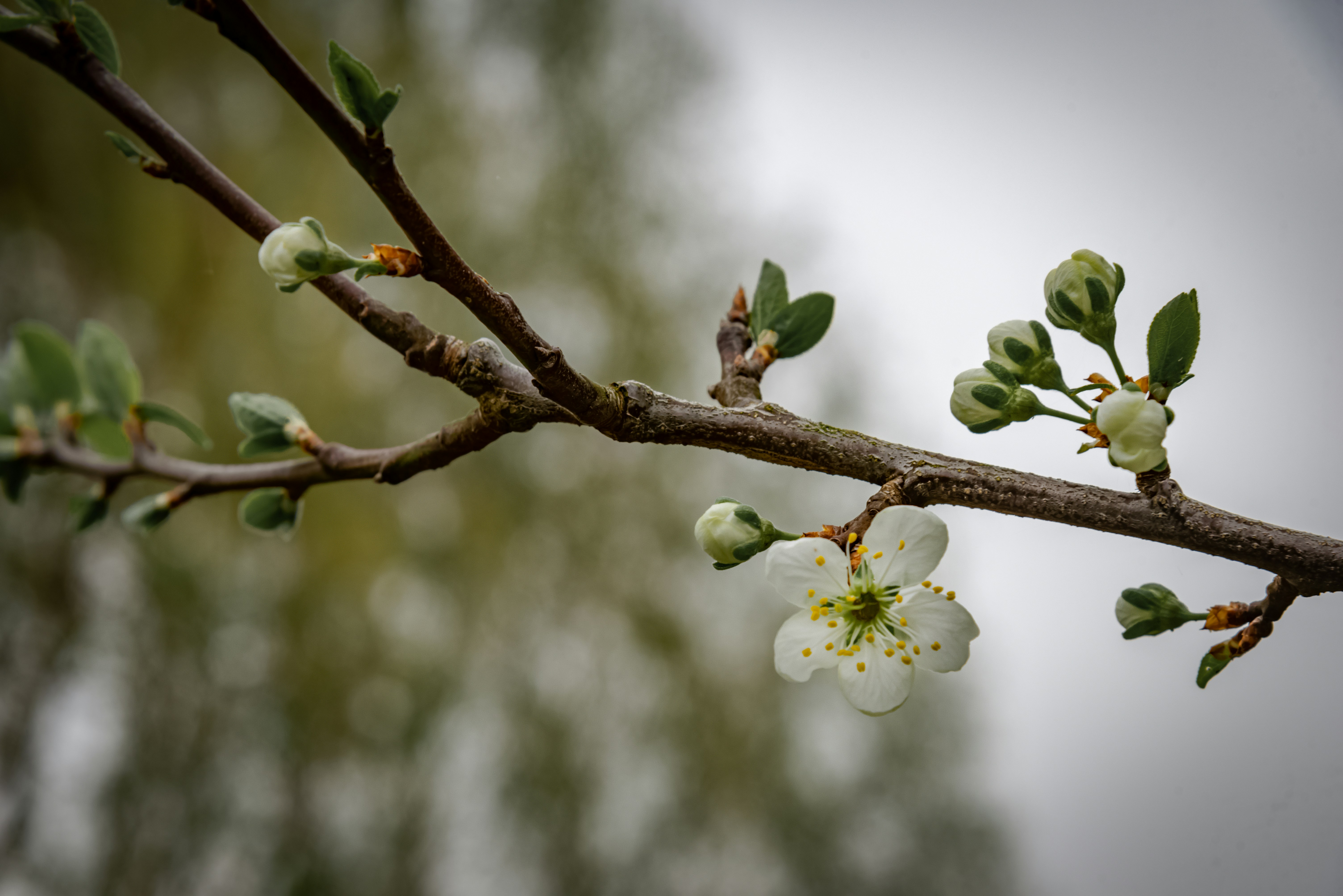 Photo by malwinanogaj