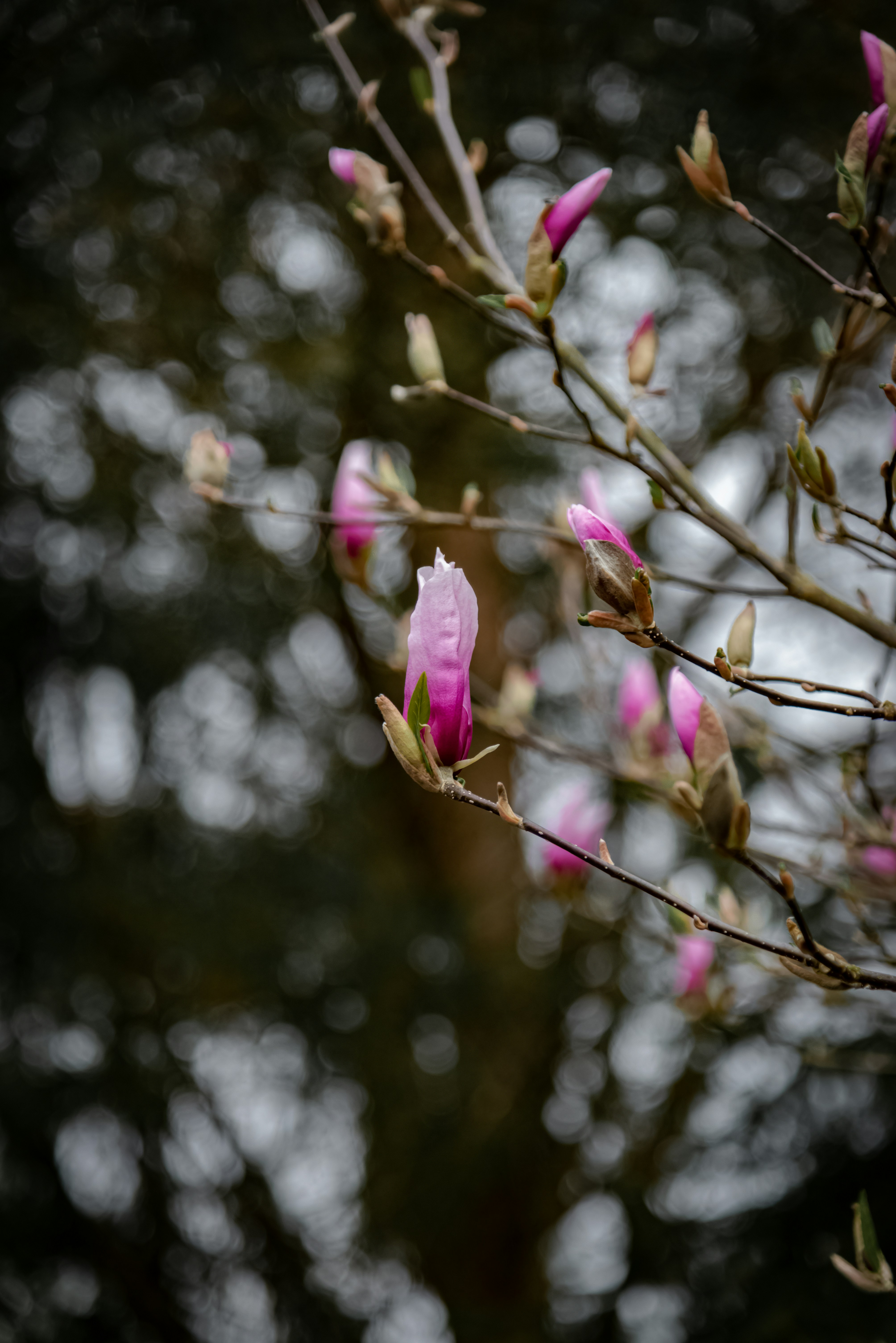 Photo by malwinanogaj