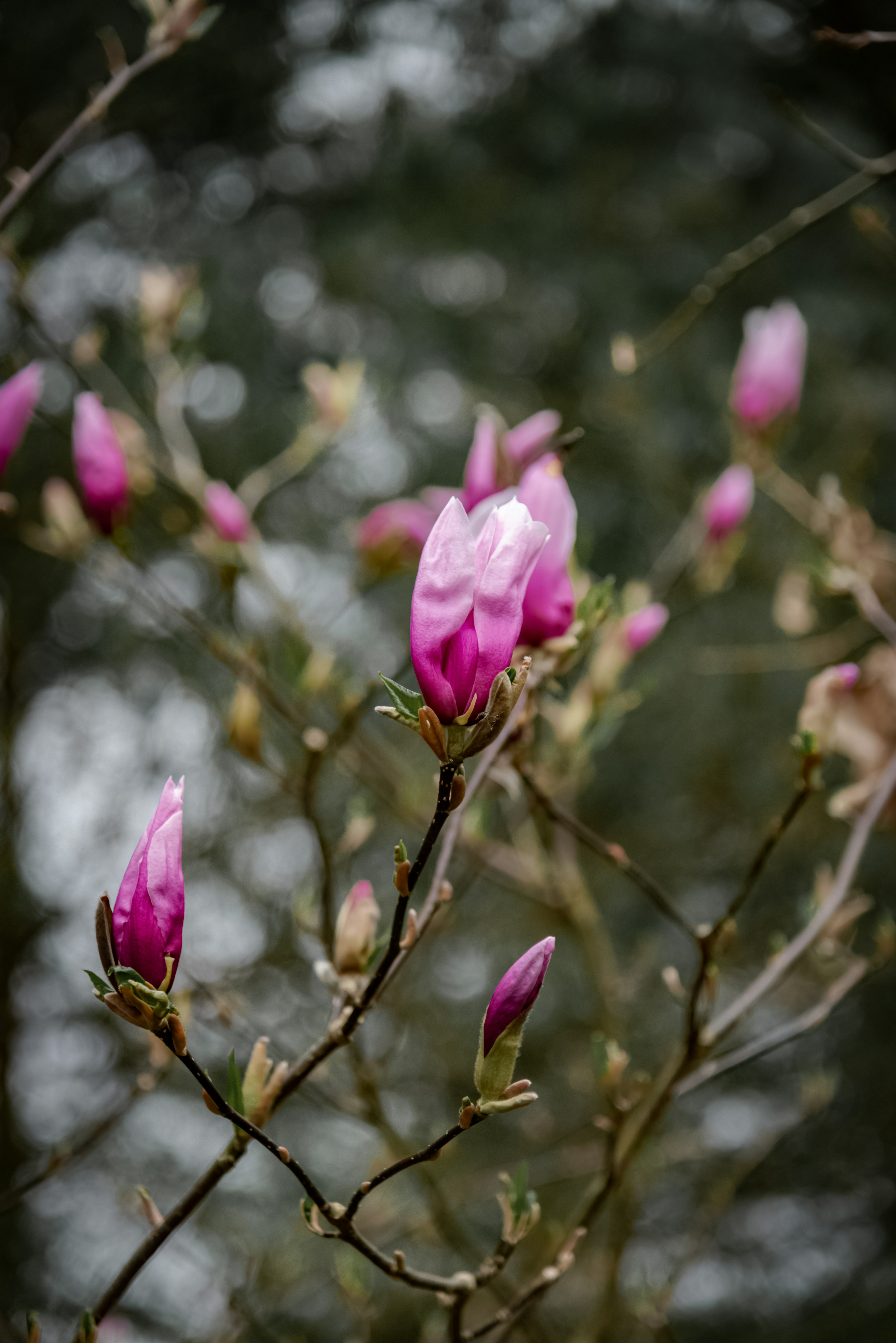 Photo by malwinanogaj