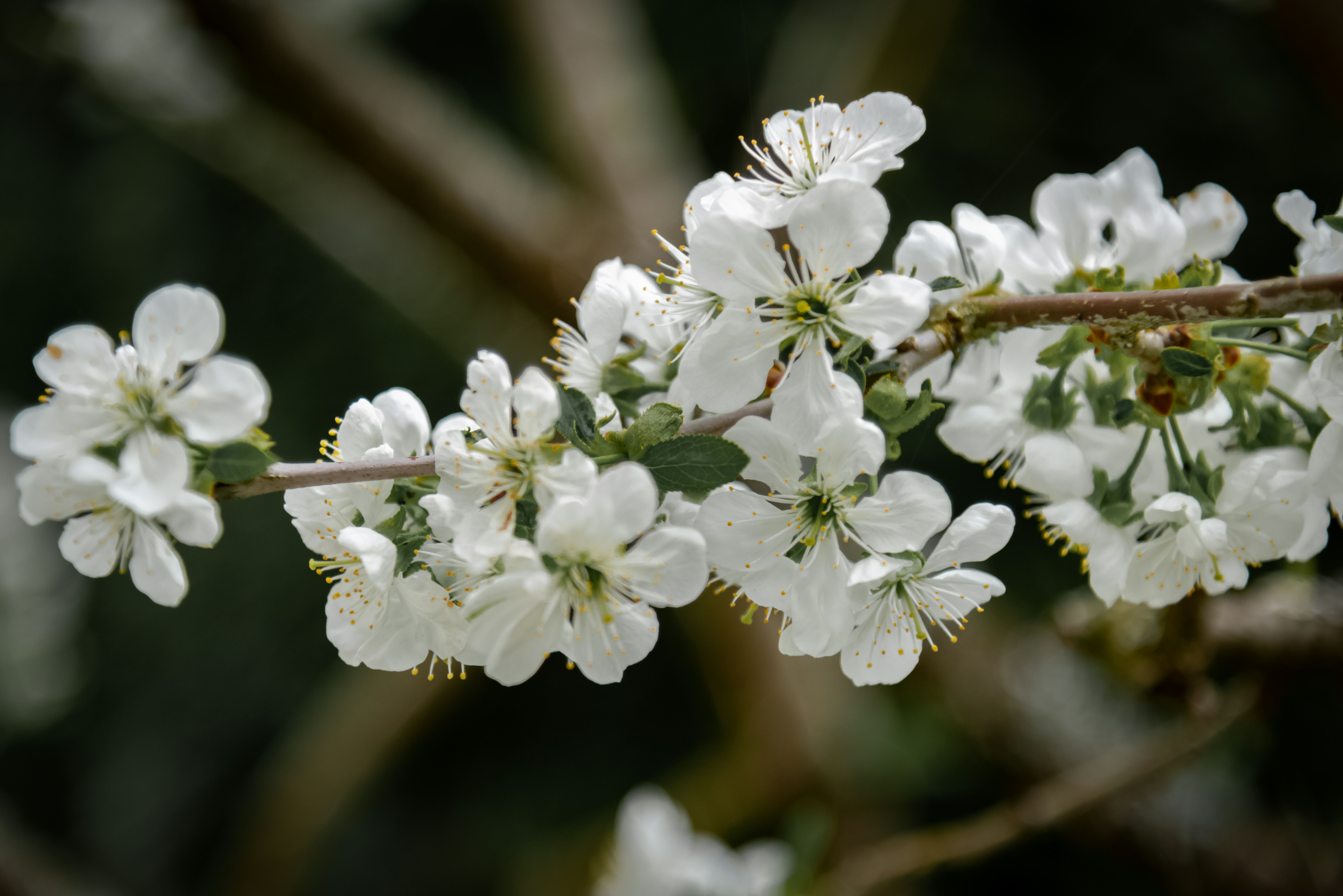 Photo by malwinanogaj