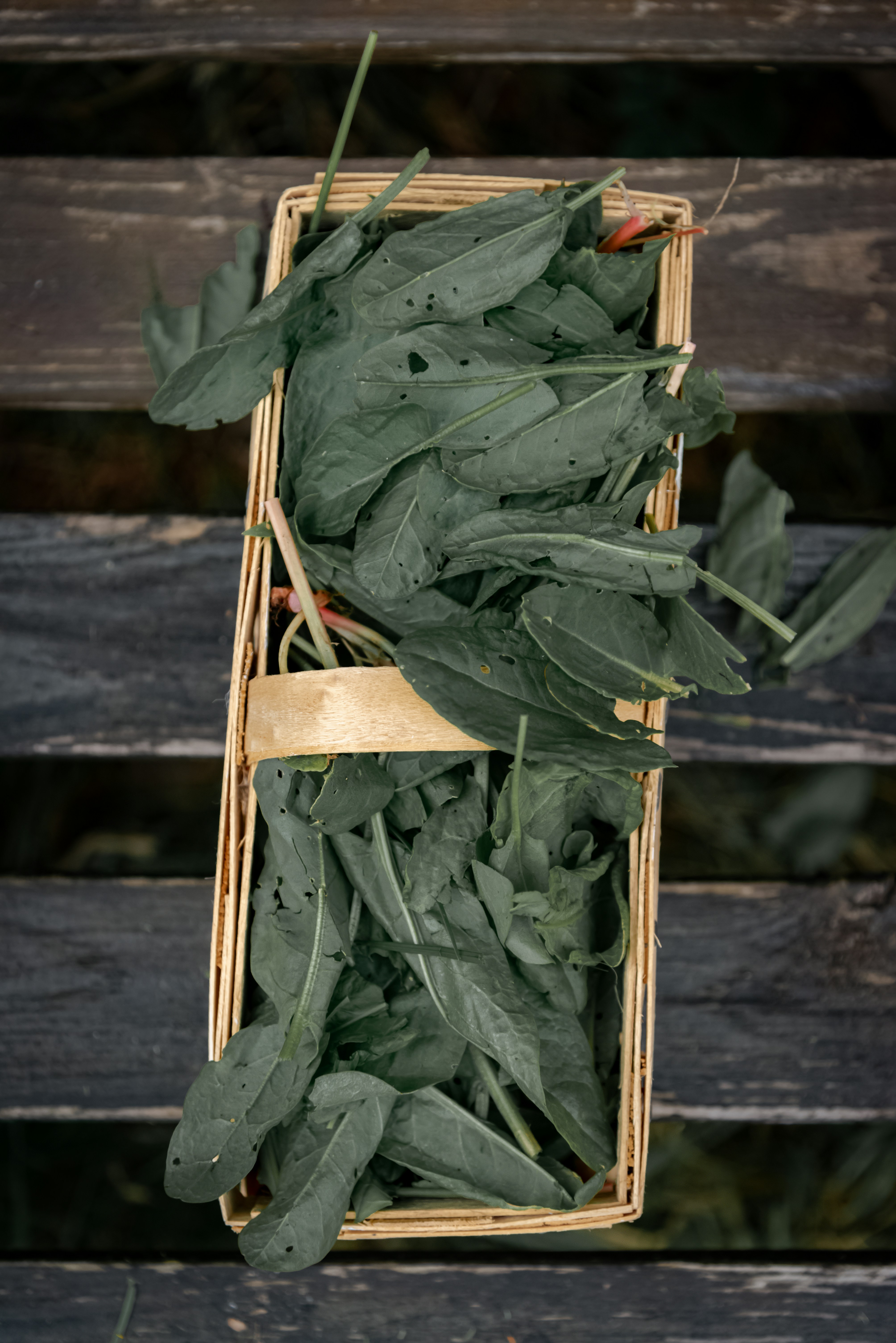 Una cesta de mimbre contiene un montón de verduras de hoja verde.