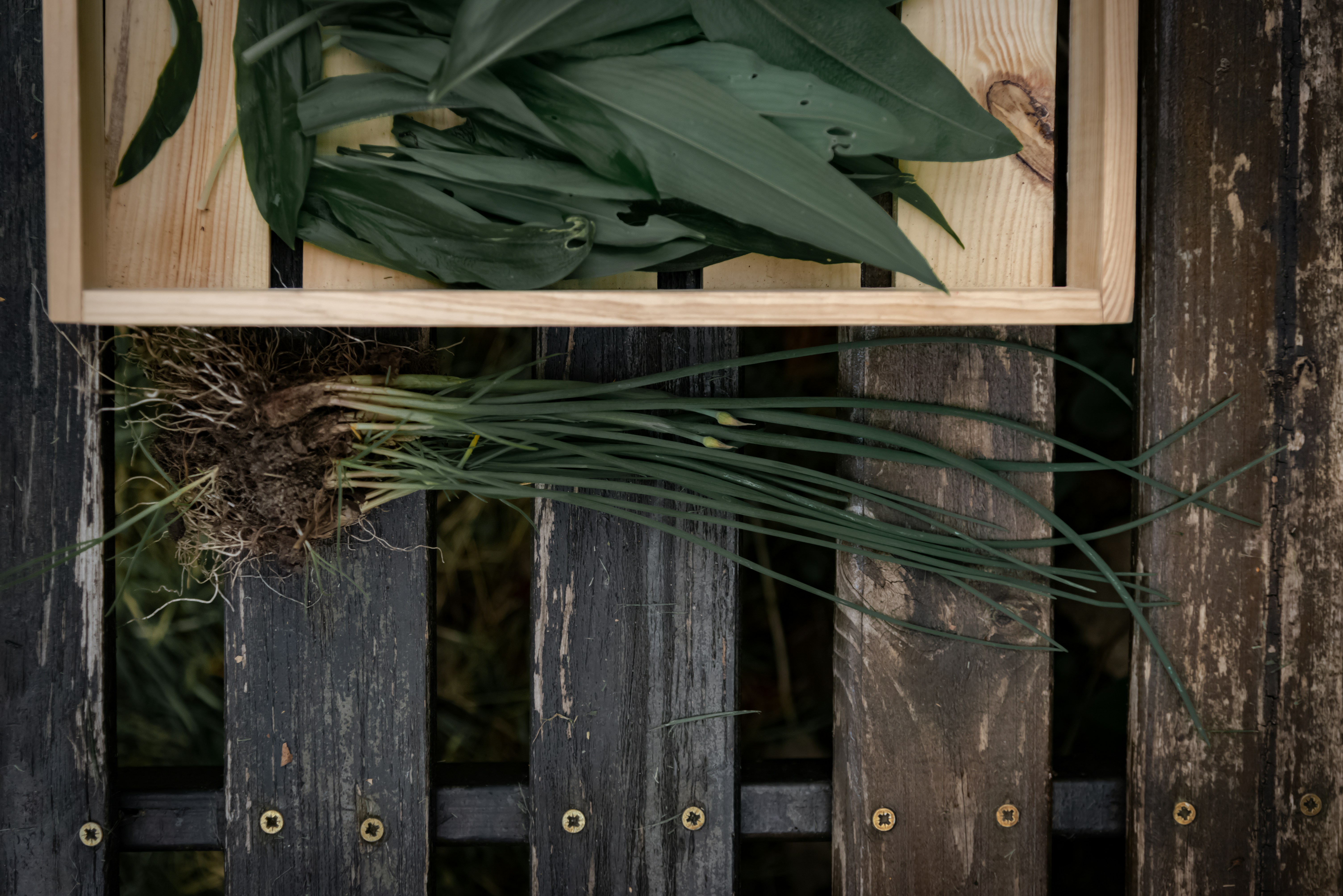 Photo by malwinanogaj