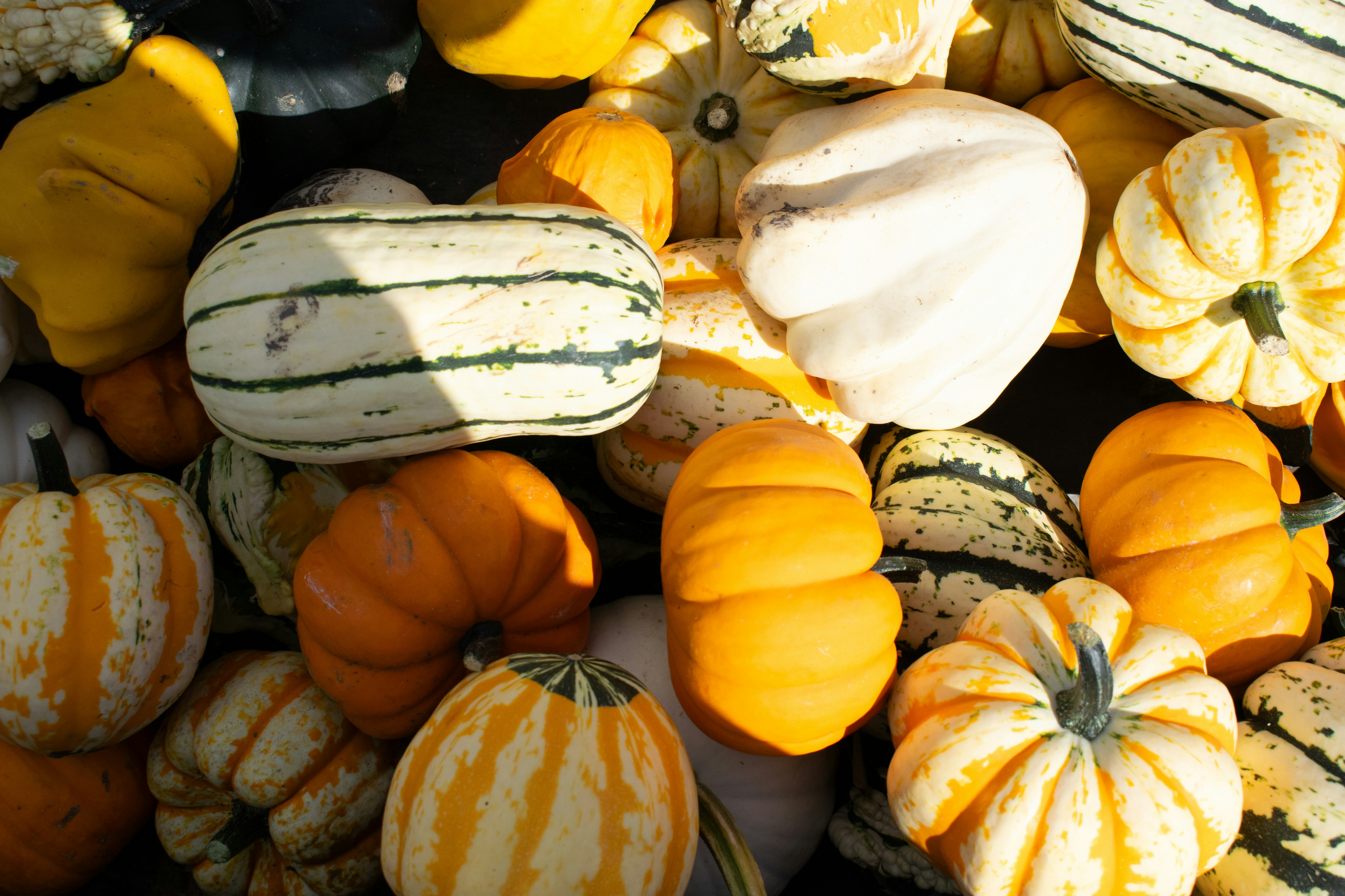 Photo by sparkledump