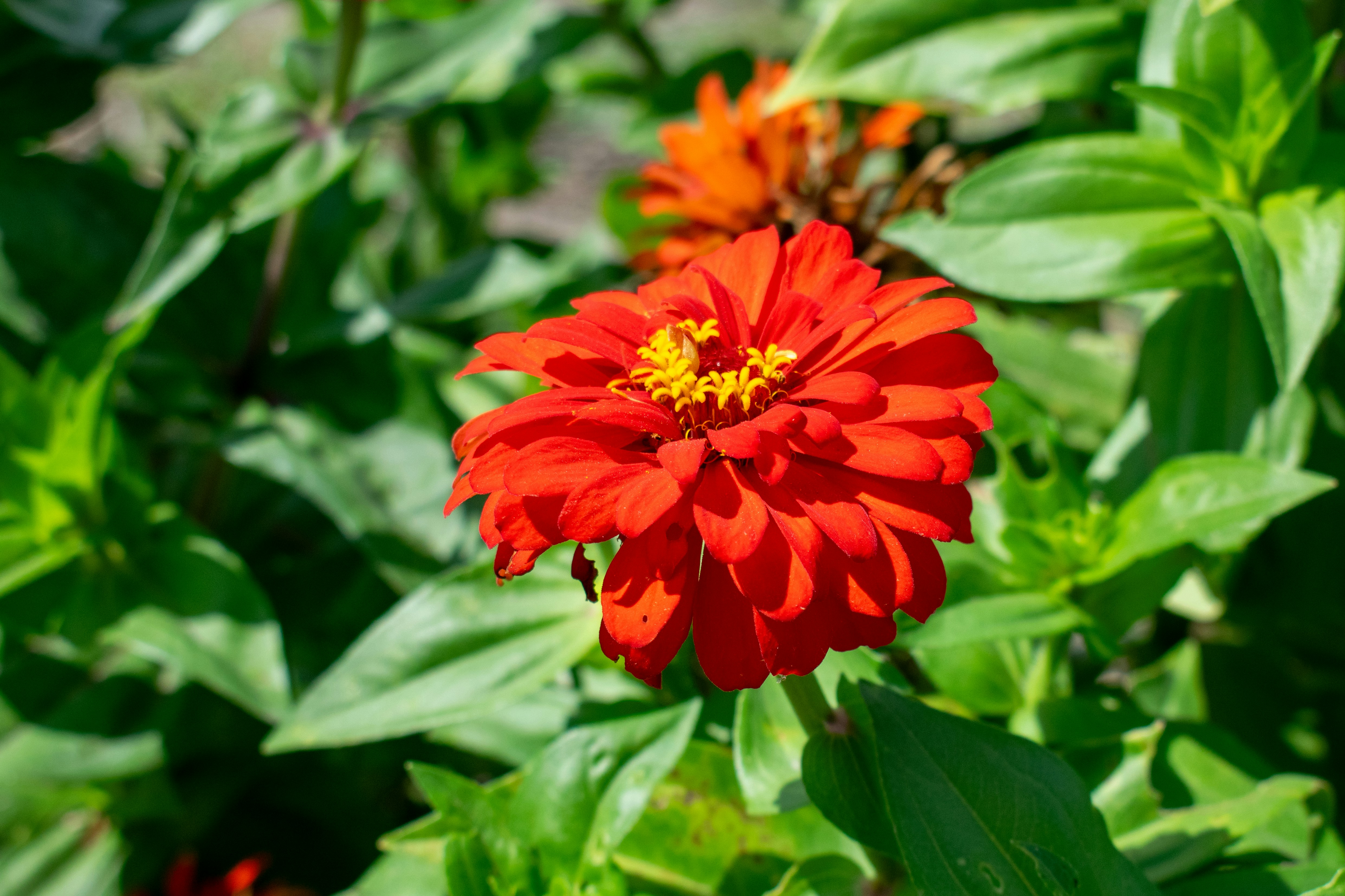 Photo by sparkledump